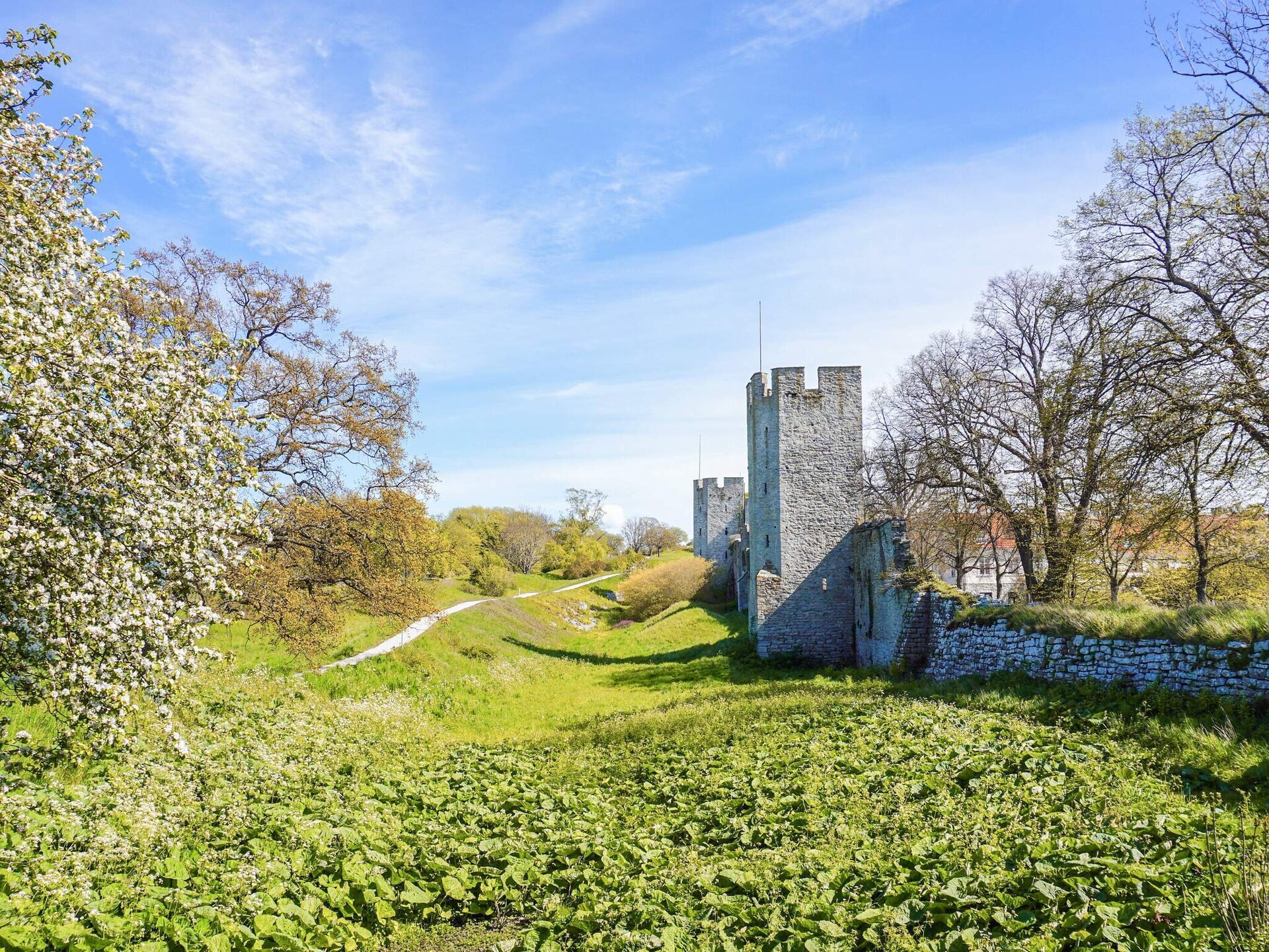 Sfeervol vakantiehuis in Tofta op Gotland voor 6 personen - foto 7