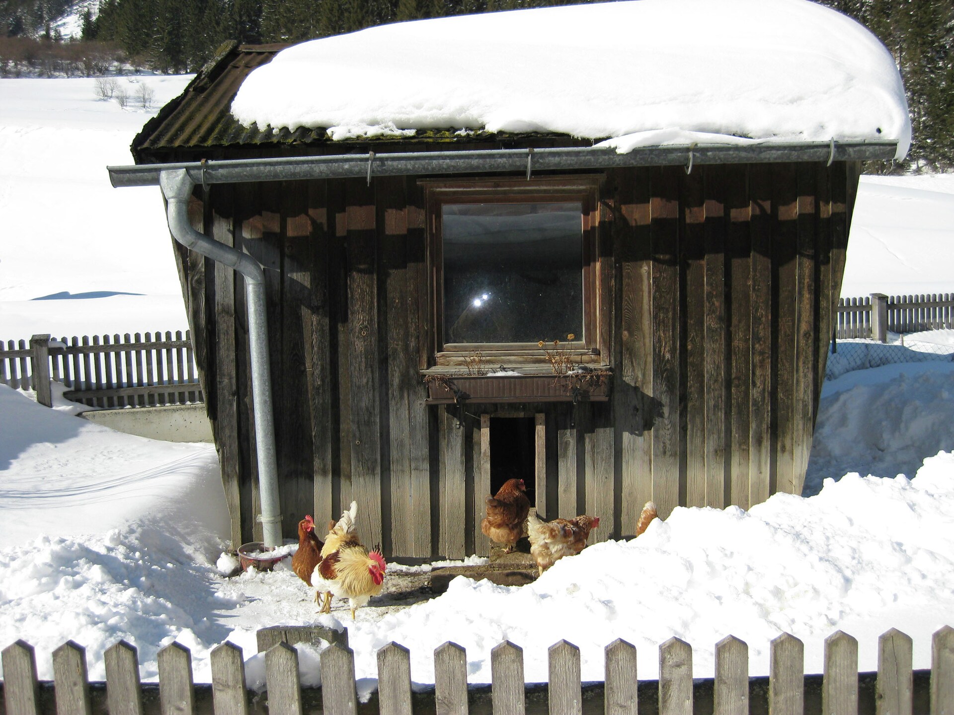 Op 1,0 km van centrum: Ruim appartement aan de piste in Pettneu - foto 30