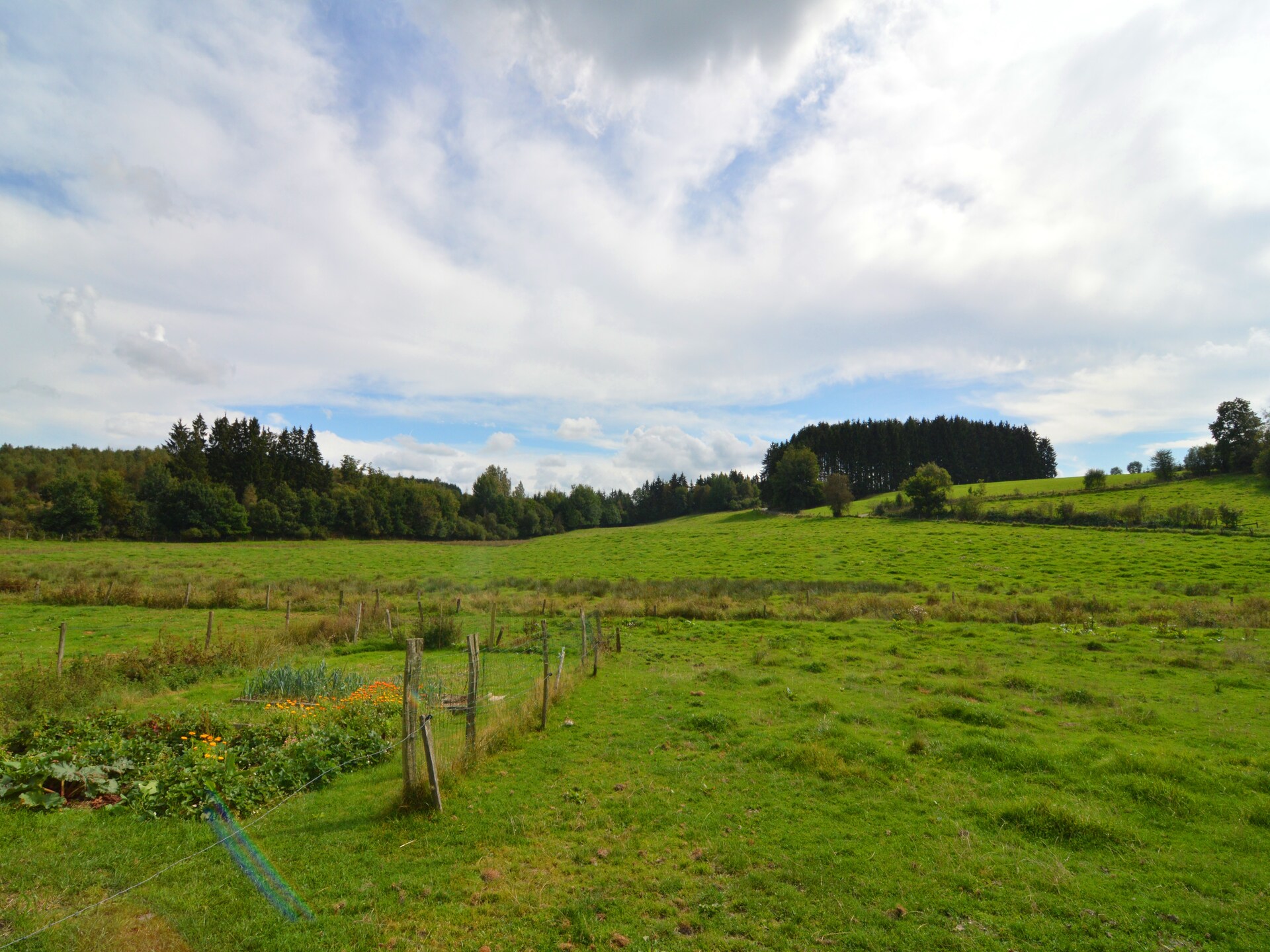 6-persoons landhuis in Bastogne-Neufmoulin met panoramisch uitzicht - foto 25