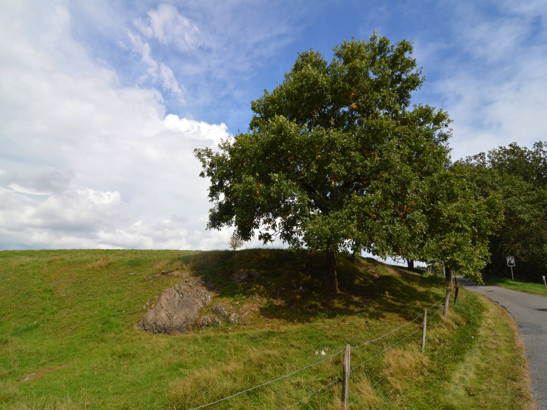 6-persoons landhuis in Bastogne-Neufmoulin met panoramisch uitzicht - foto 27