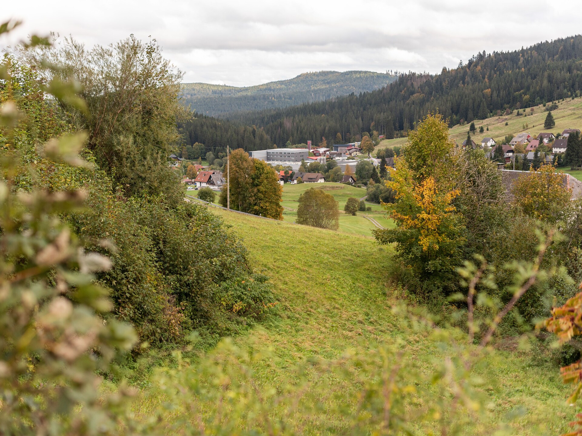 3-persoons appartement aan de piste in Bernau - foto 16