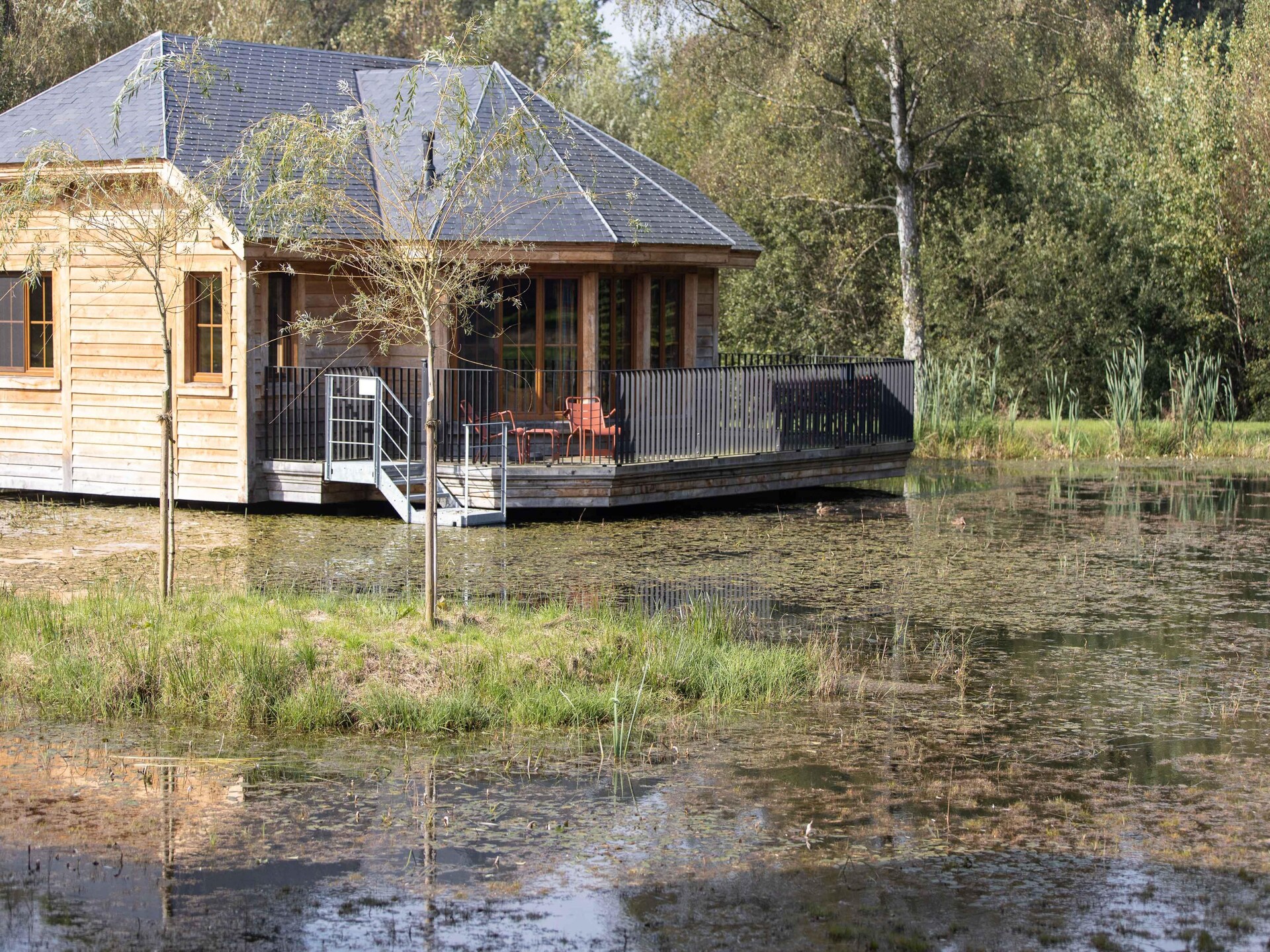 Knusse houten vakantiehut aan het water in Vencimont, Ardennen - foto 9