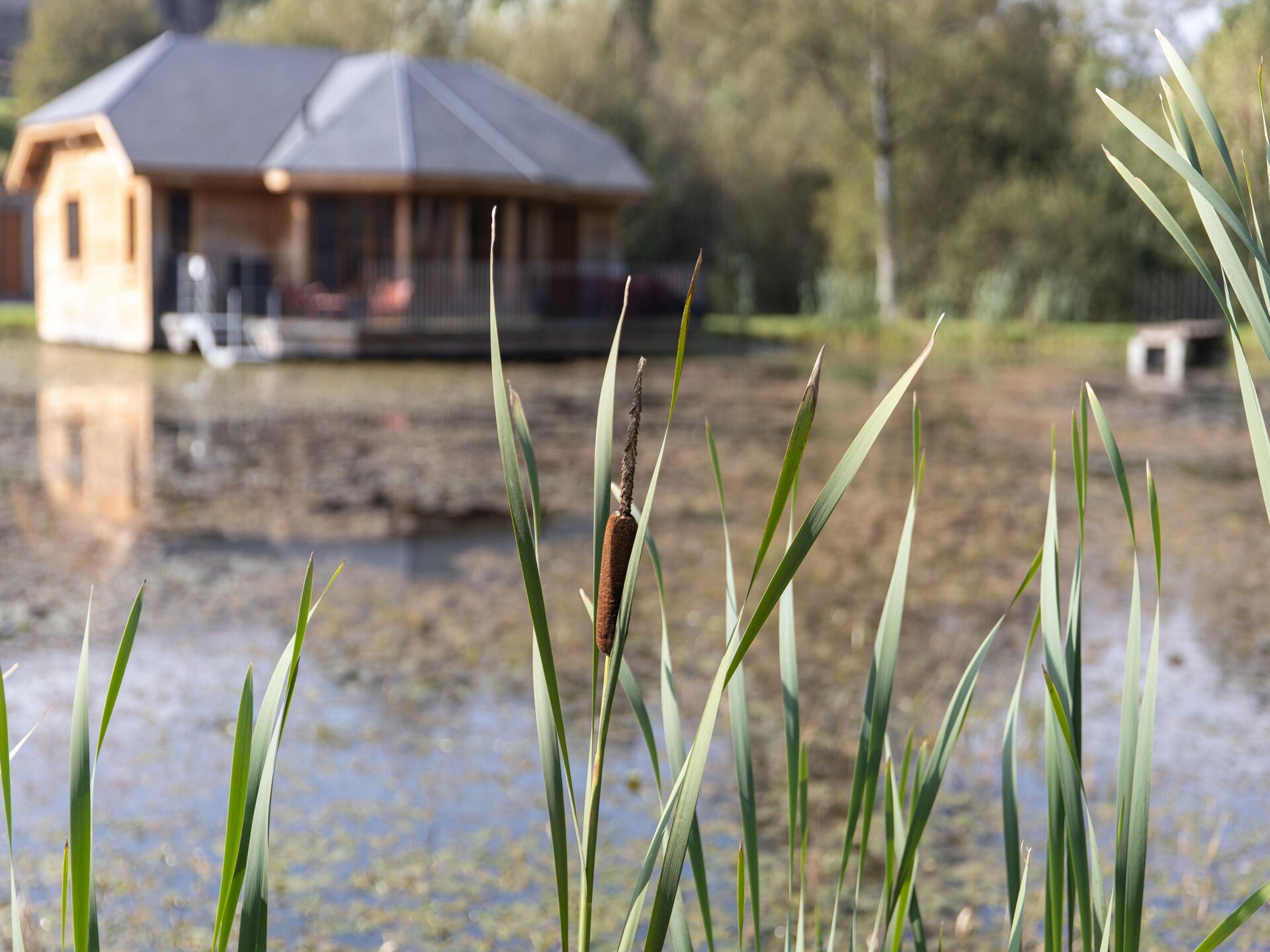 Knusse houten vakantiehut aan het water in Vencimont, Ardennen - foto 31