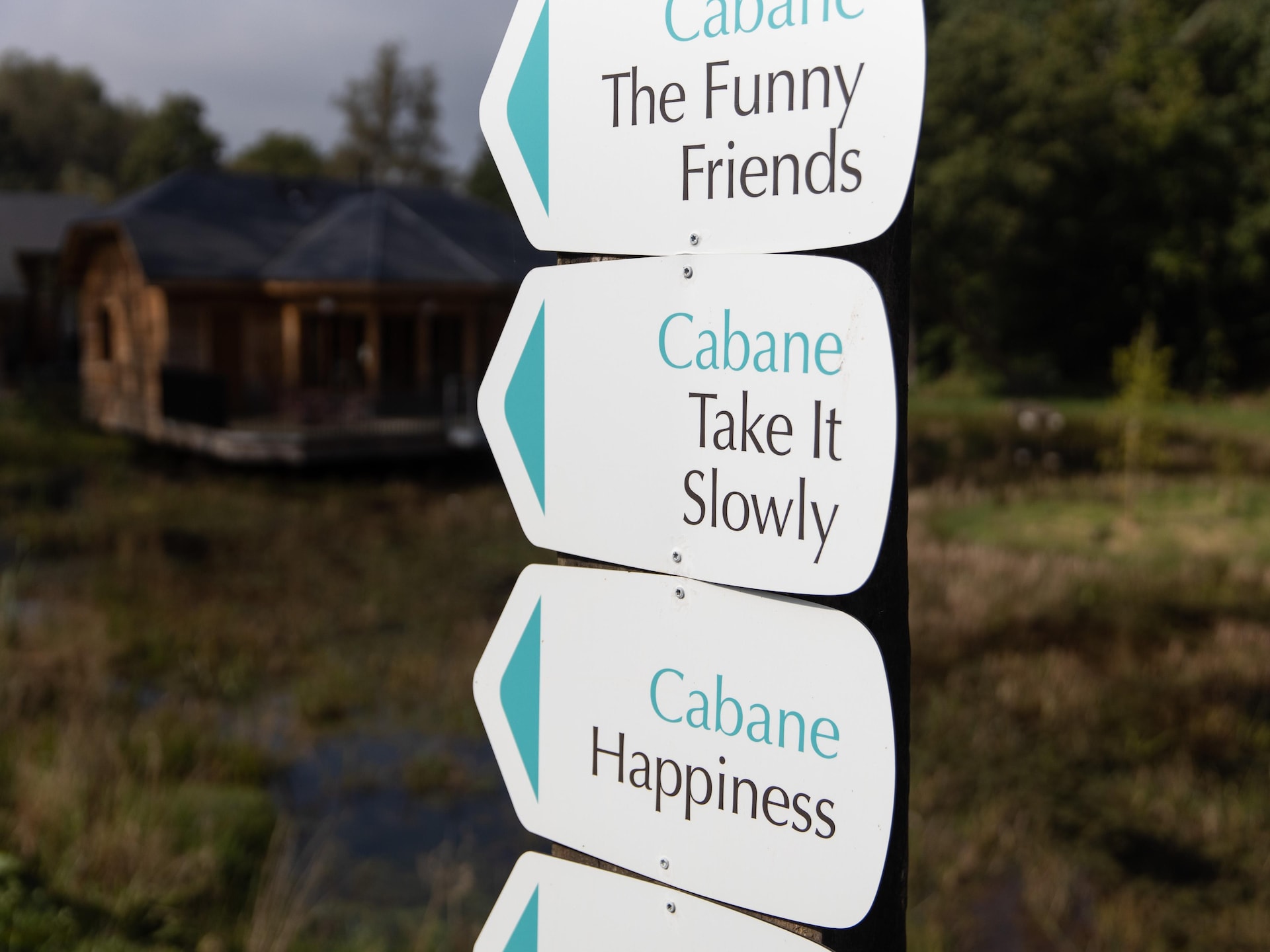 Cabane The Early Birds: Uniek vakantiehuis in Vencimont - foto 28