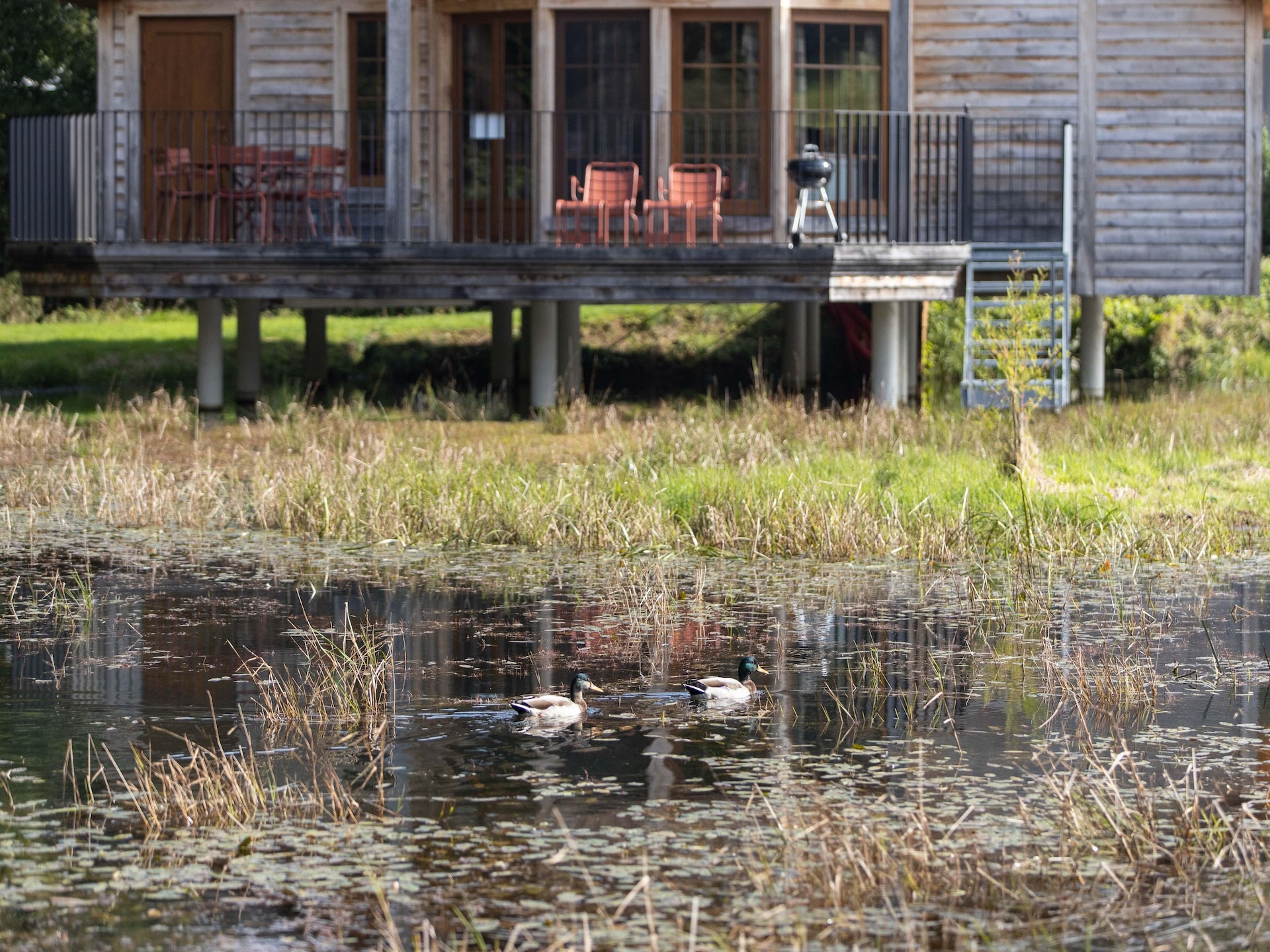 Cabane The Early Birds: Uniek vakantiehuis in Vencimont - foto 29