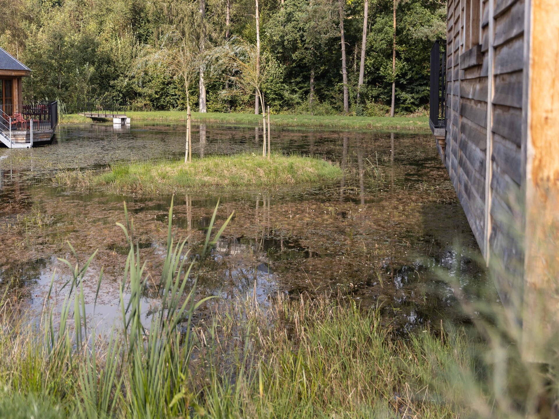 Knusse bosrijke cabane voor 4 in Vencimont - foto 15