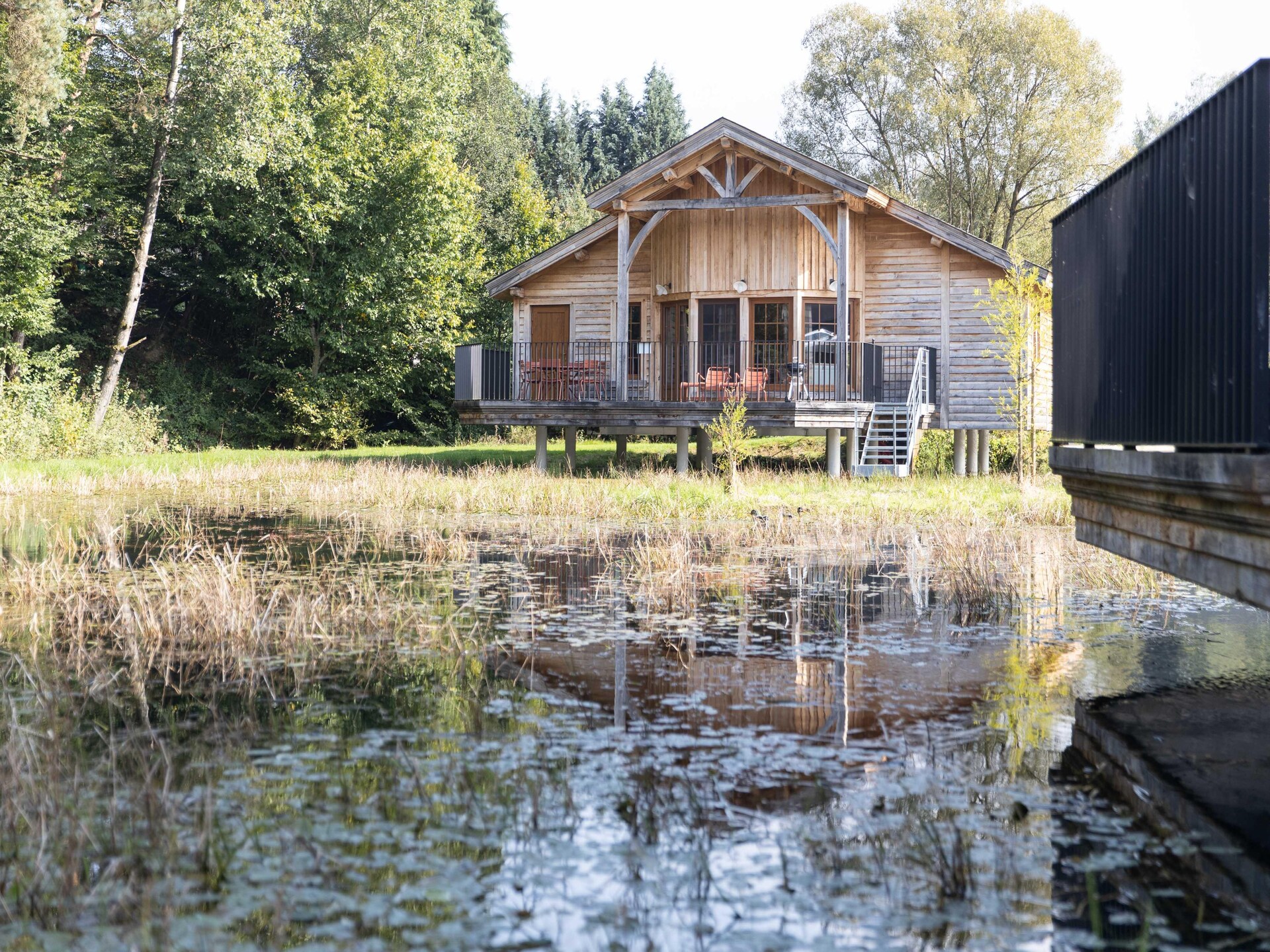 Knusse bosrijke cabane voor 4 in Vencimont - foto 33