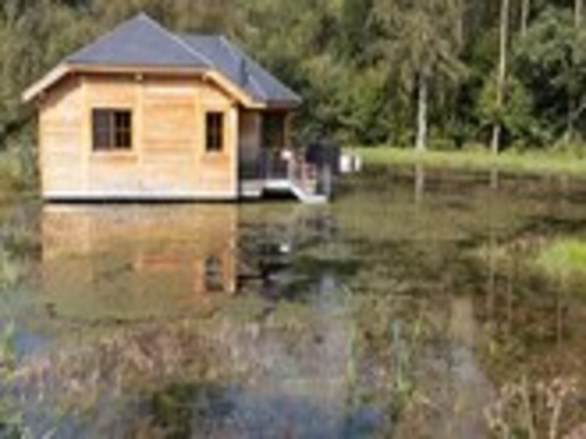 Knusse bosrijke cabane voor 4 in Vencimont - foto 24