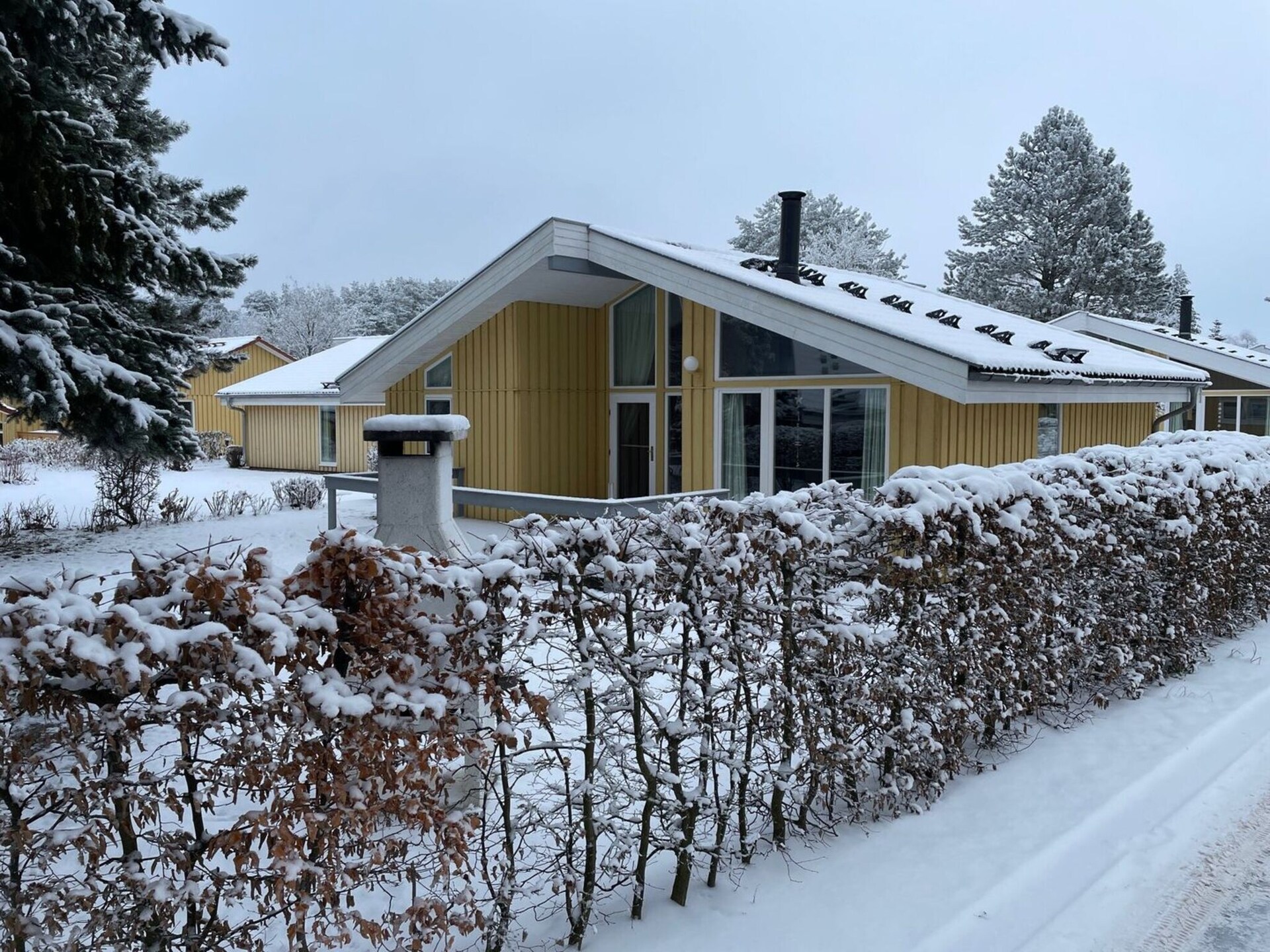 Scandinavisch vakantiehuis aan het Granzower Meer met wellness - foto 1