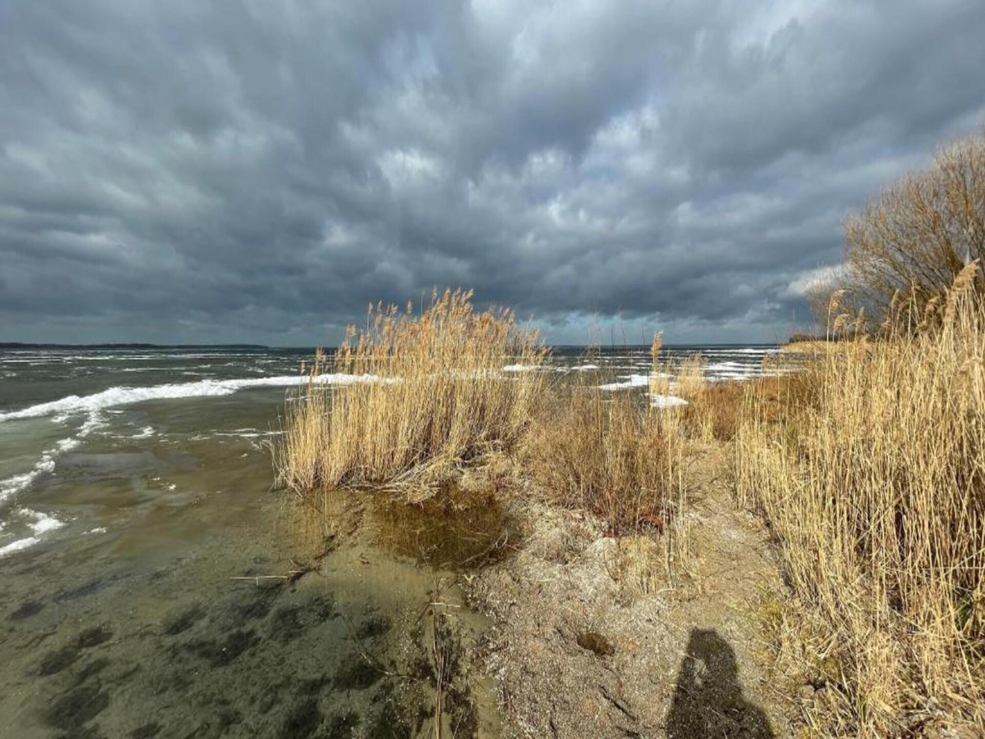 Ferienhaus Seeschwalbe-50: Vakantiehuis aan de Müritz met eigen strand - foto 11
