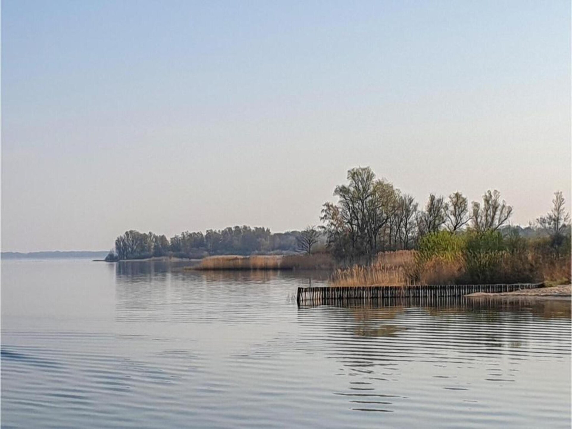 Ferienhaus Seeschwalbe-70 aan de Müritz met privéstrand en jachthaven - foto 17