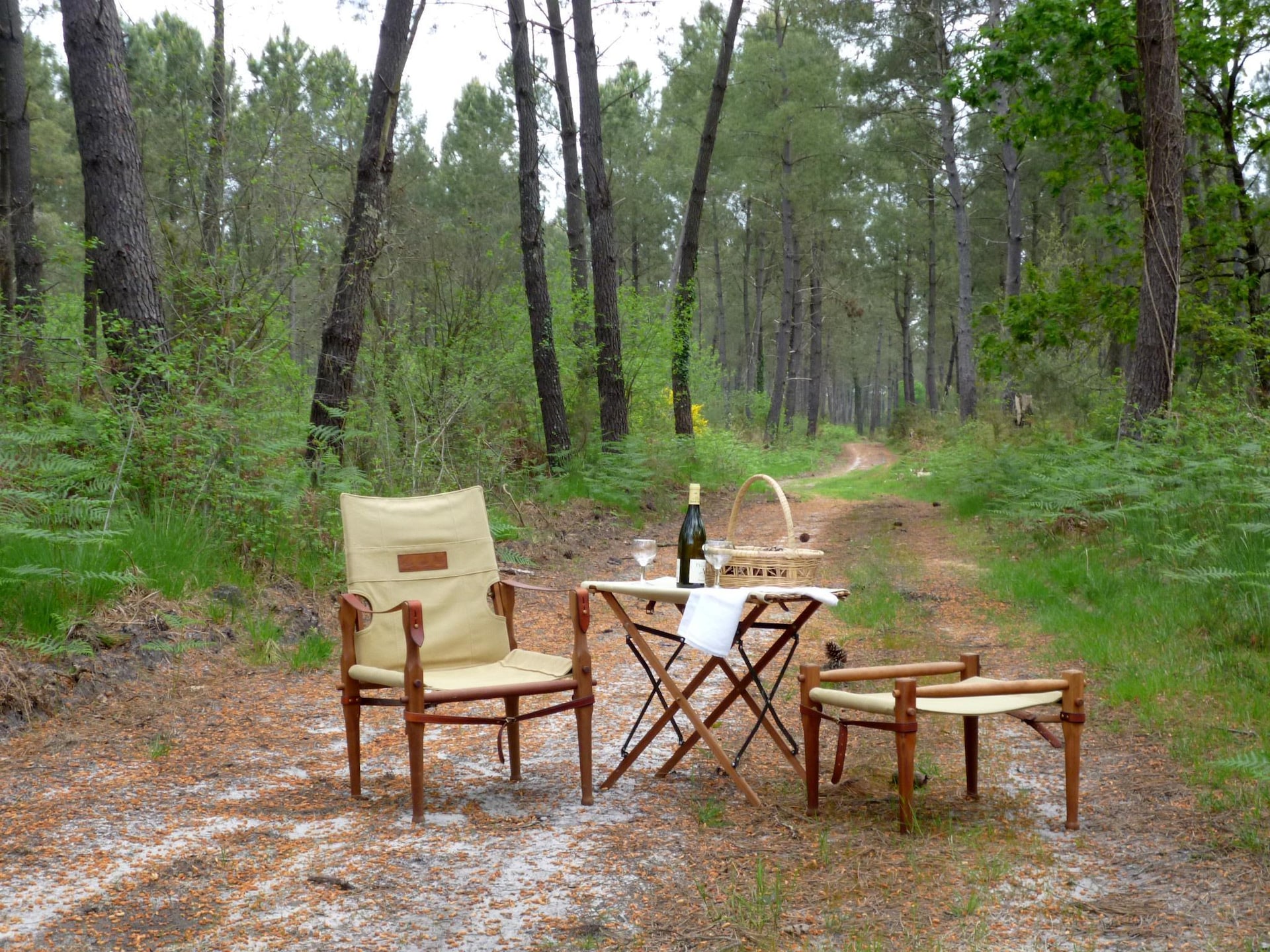 Unieke Sequoia Wood Ecolodge in het bos van Sos - foto 9