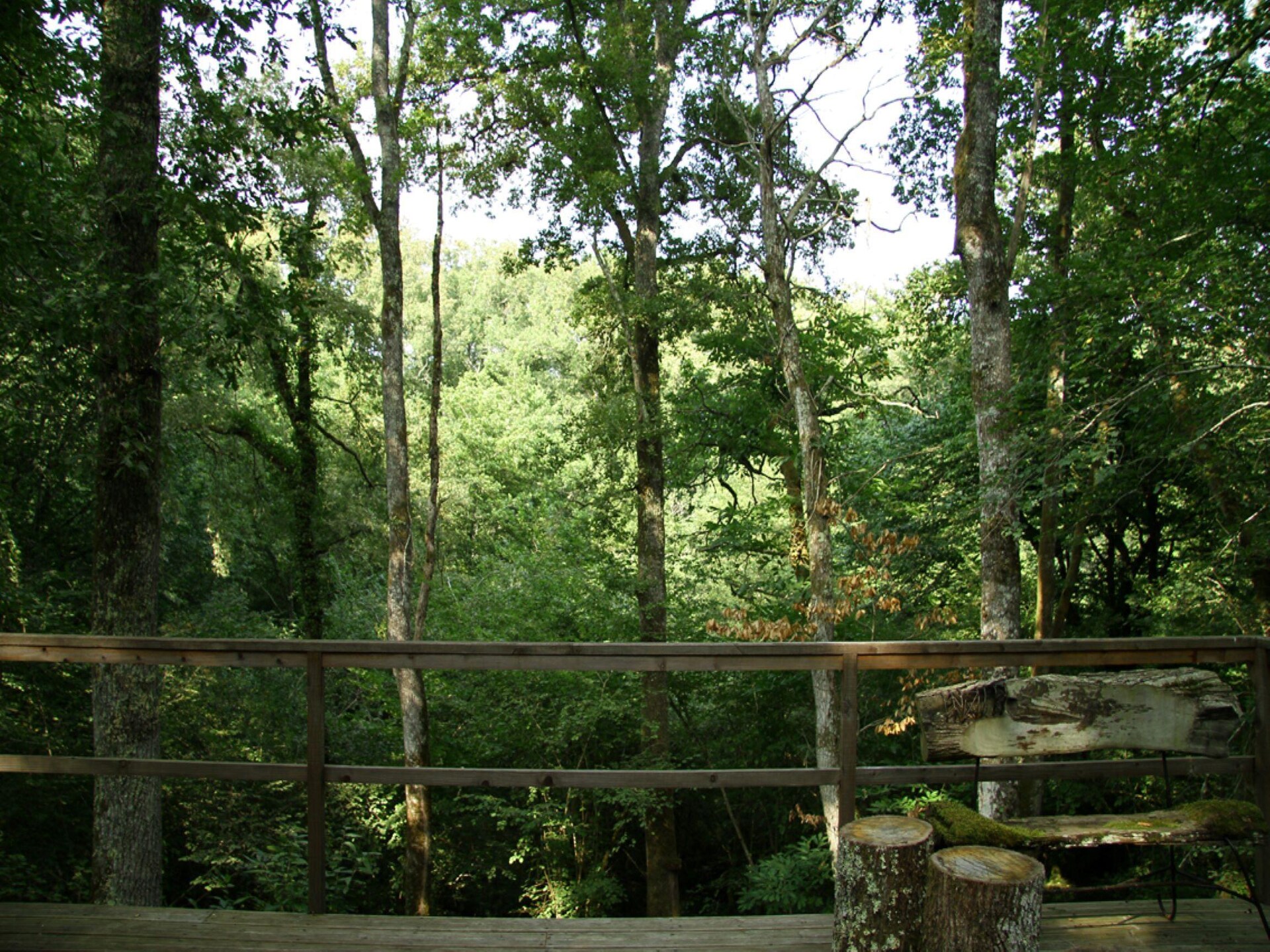 Unieke Sequoia Wood Ecolodge in het bos van Sos - foto 11
