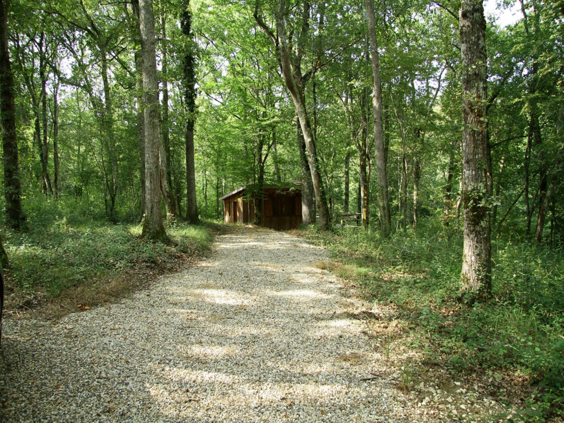 Unieke Sequoia Wood Ecolodge in het bos van Sos - foto 6