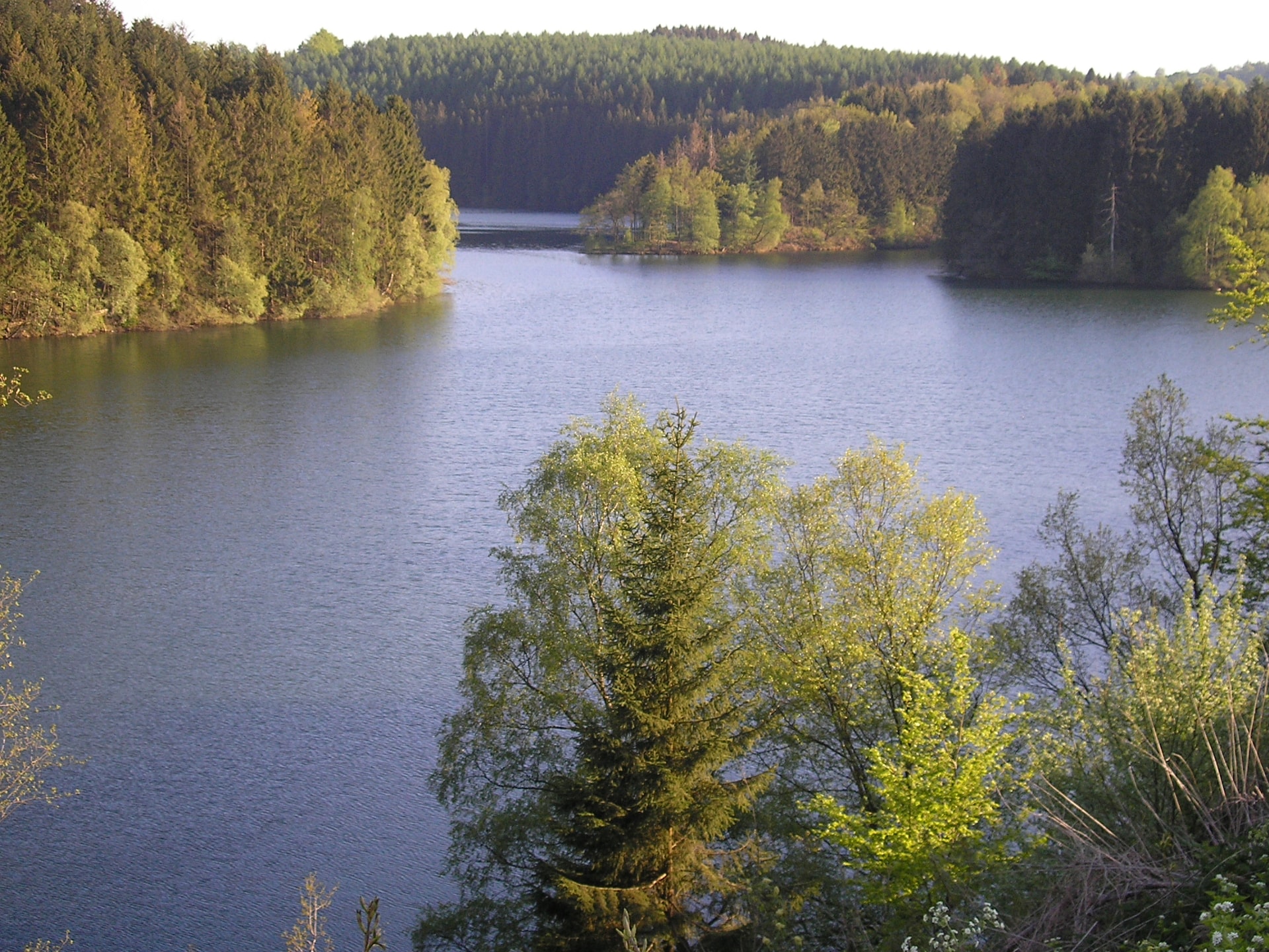 O Vih Fat - foto 27