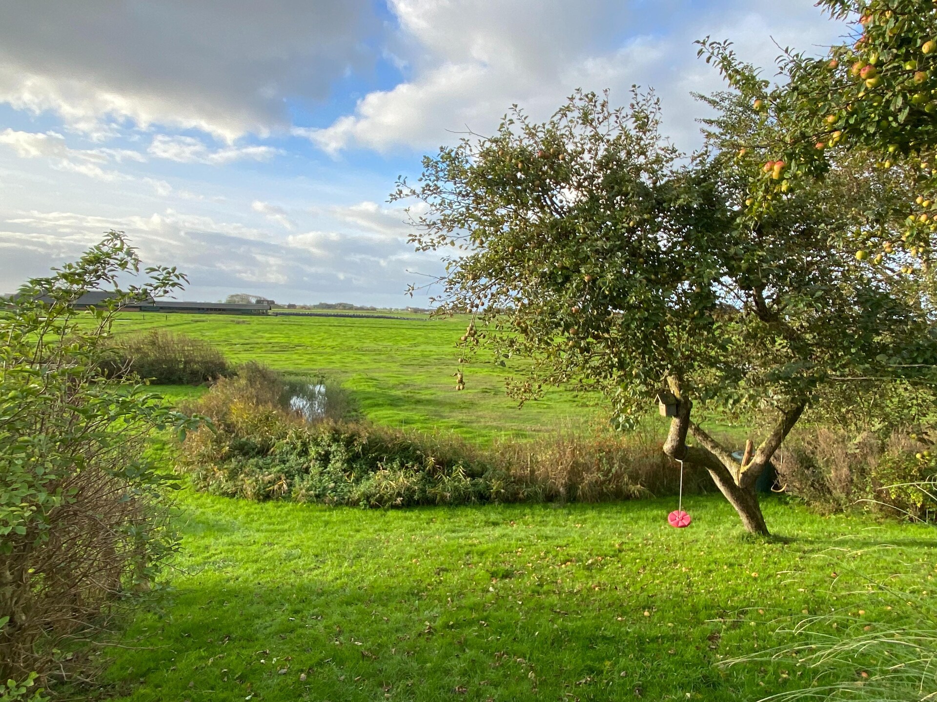 Sfeervol vakantiehuis op Pellworm met panoramisch uitzicht - foto 15