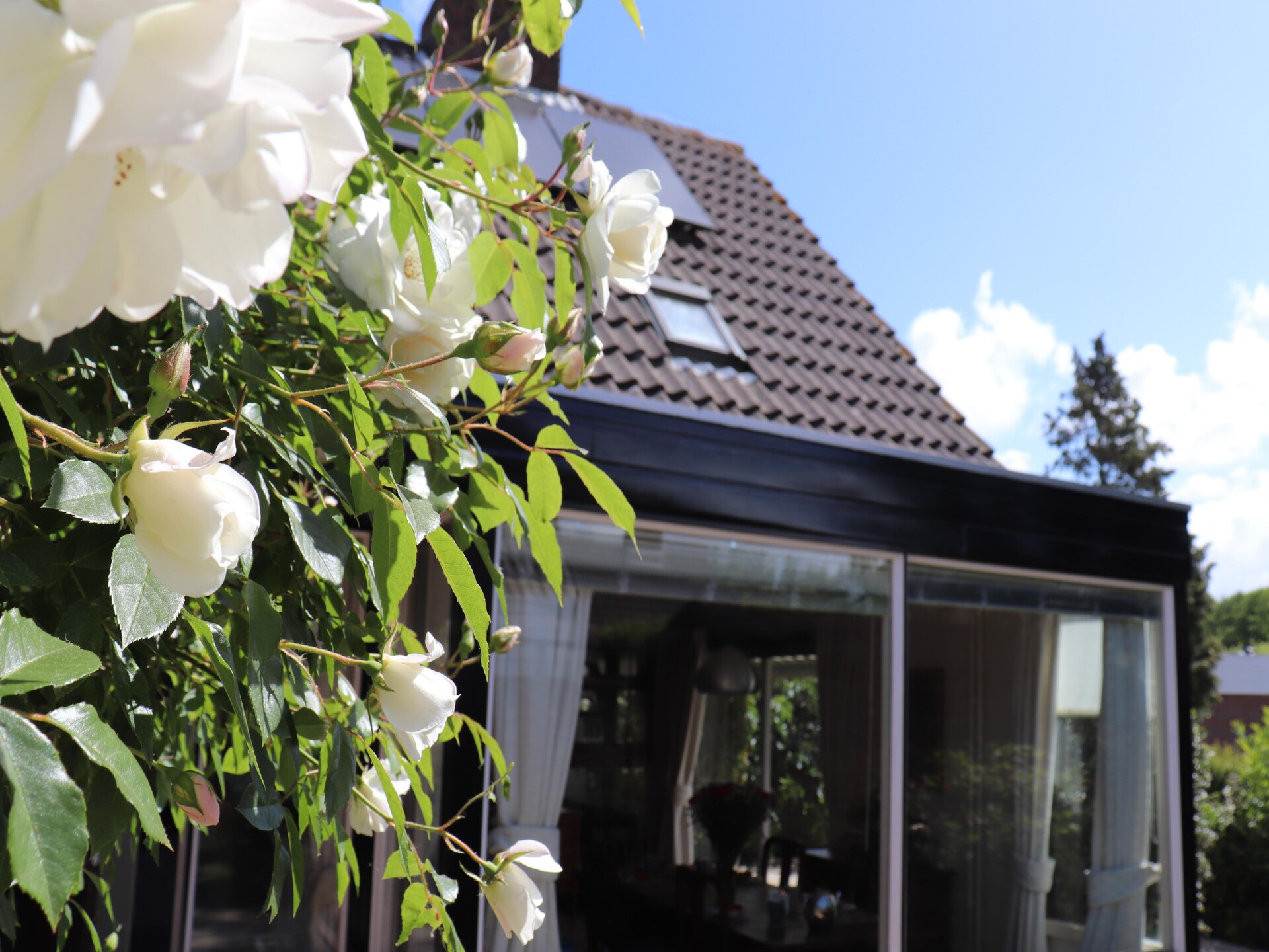 Nostalgisch vakantiehuis Constance in bosrijke omgeving bij Noordwijkerhout - foto 34