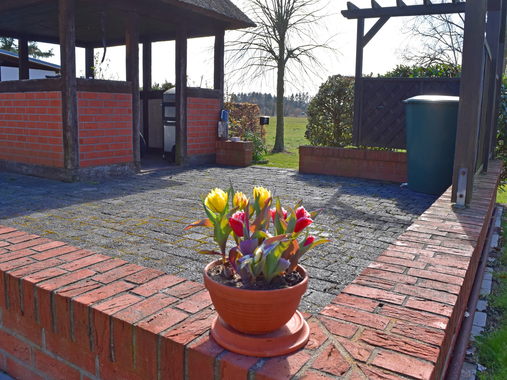 Vakantieappartement onder rieten dak bij Salzhaff en Oostzee - foto 4