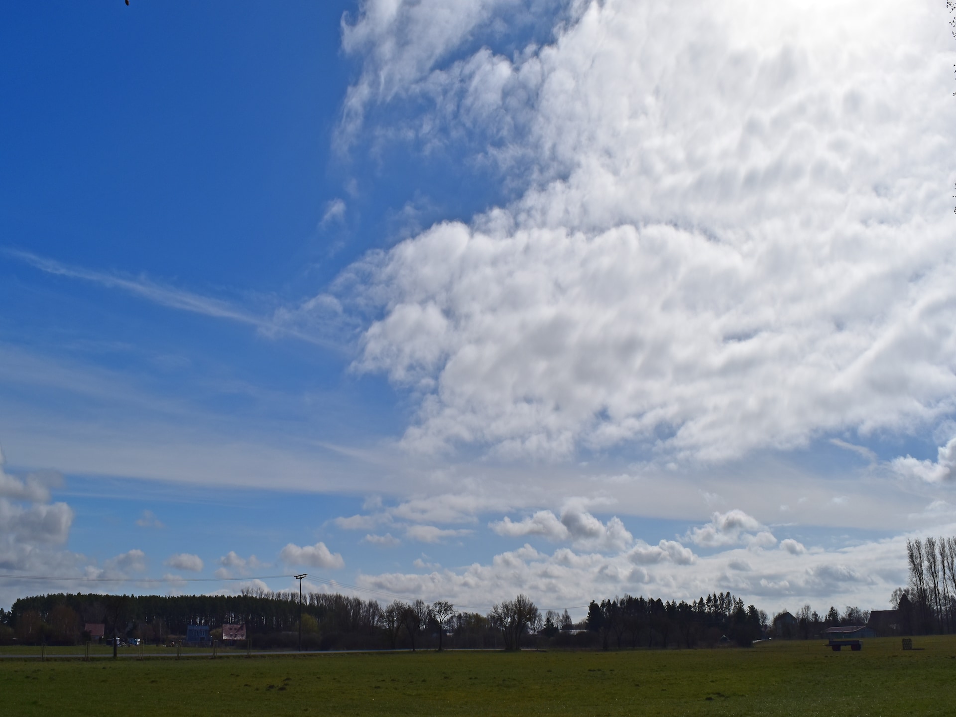 Vakantieappartement onder rieten dak bij Salzhaff en Oostzee - foto 35