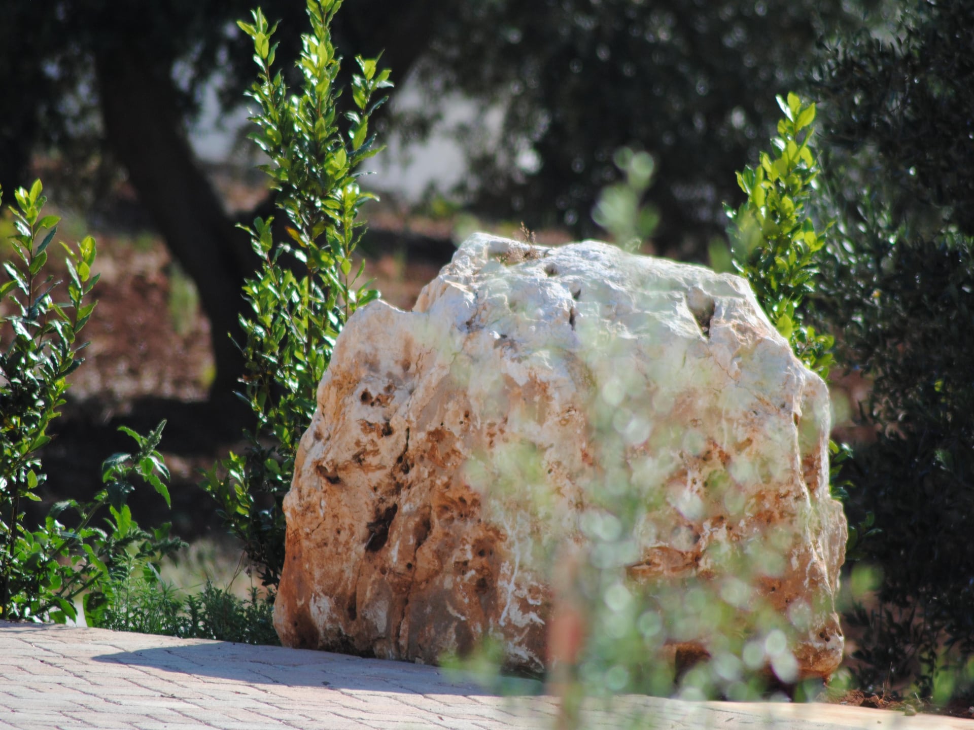 Privézwembad en historische charme in Trullo Rosa Ostuni - foto 52