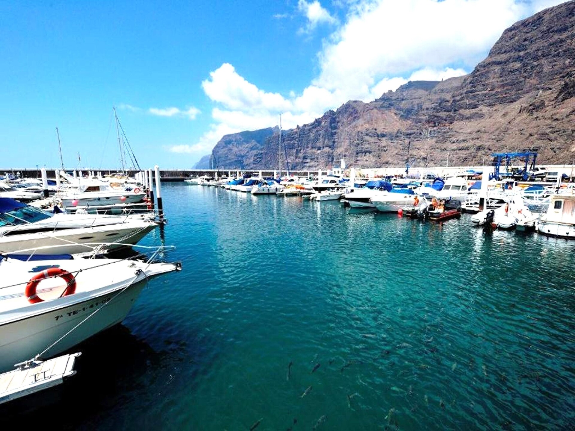 Modern appartement met zeezicht op 100m van het strand in Los Gigantes - foto 31