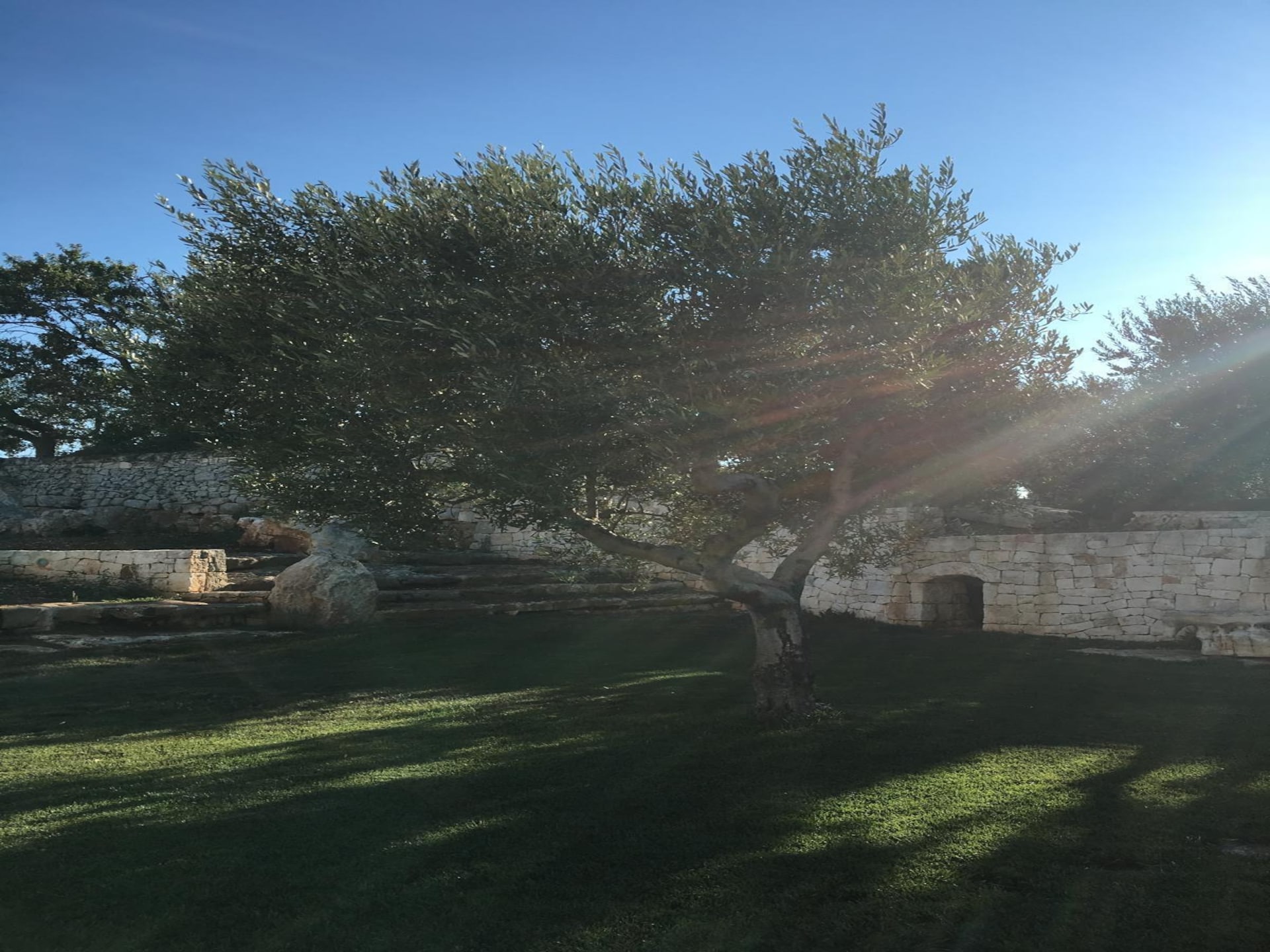 Privézwembad en historische charme in Trullo Amato, Cisternino - foto 39