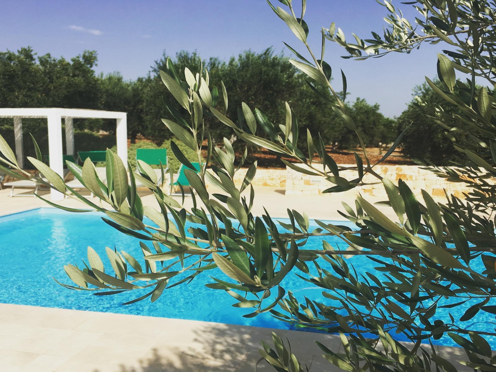 Privézwembad en historische charme in Trullo Amato, Cisternino - foto 42