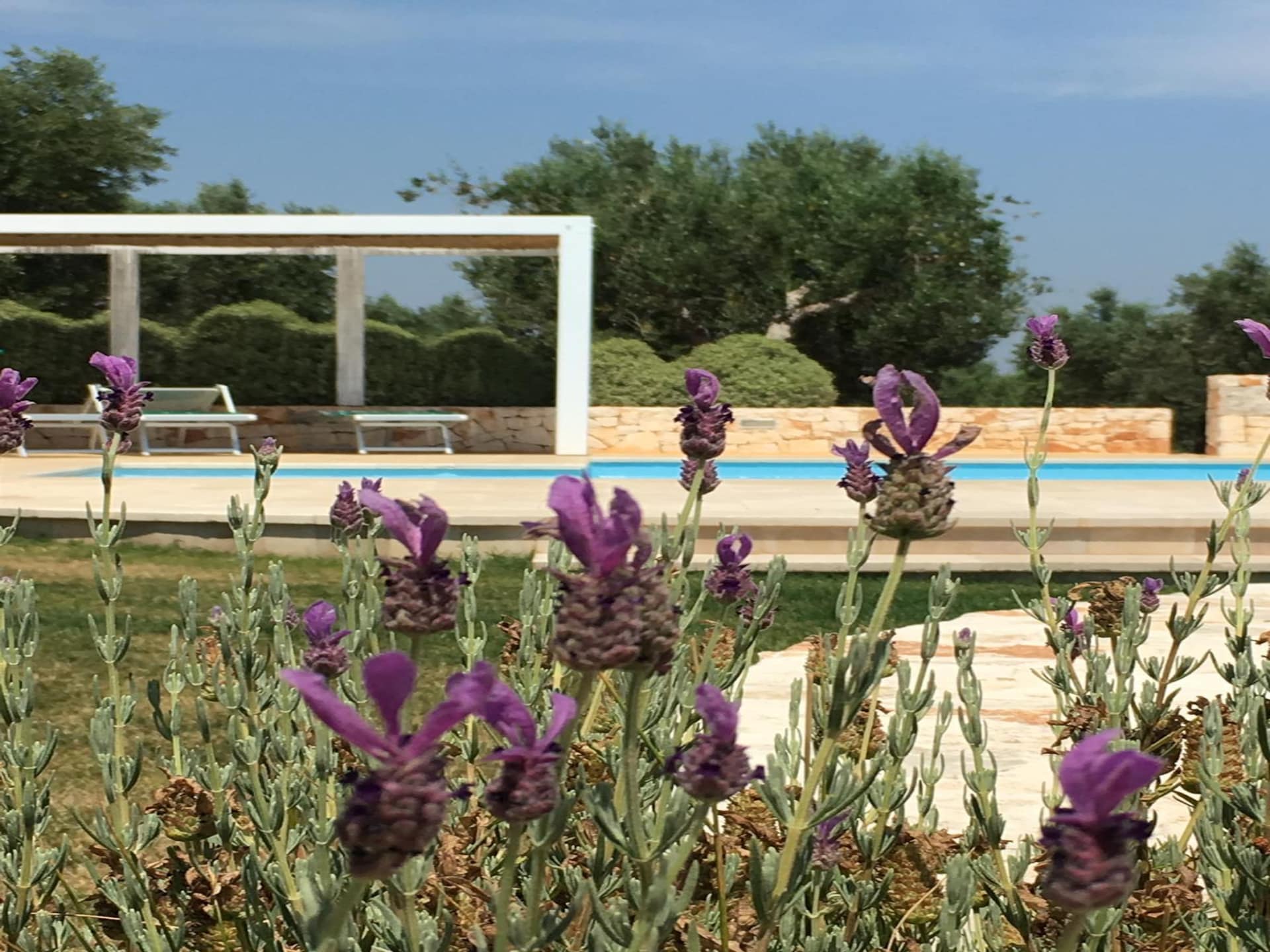 Privézwembad en historische charme in Trullo Amato, Cisternino - foto 25