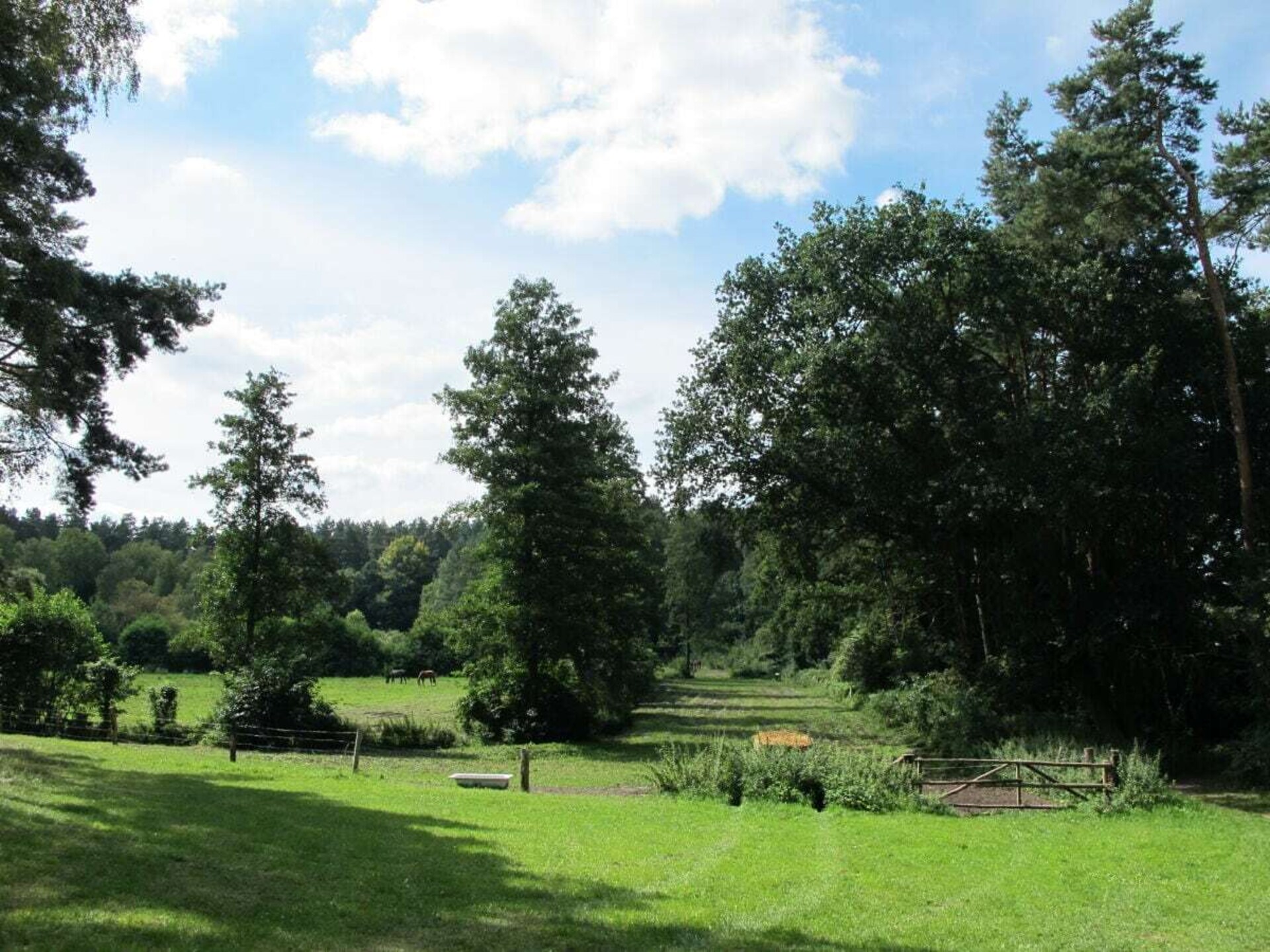 Romantische bungalow aan het Plauer See met privéterras en groene tuin - foto 3