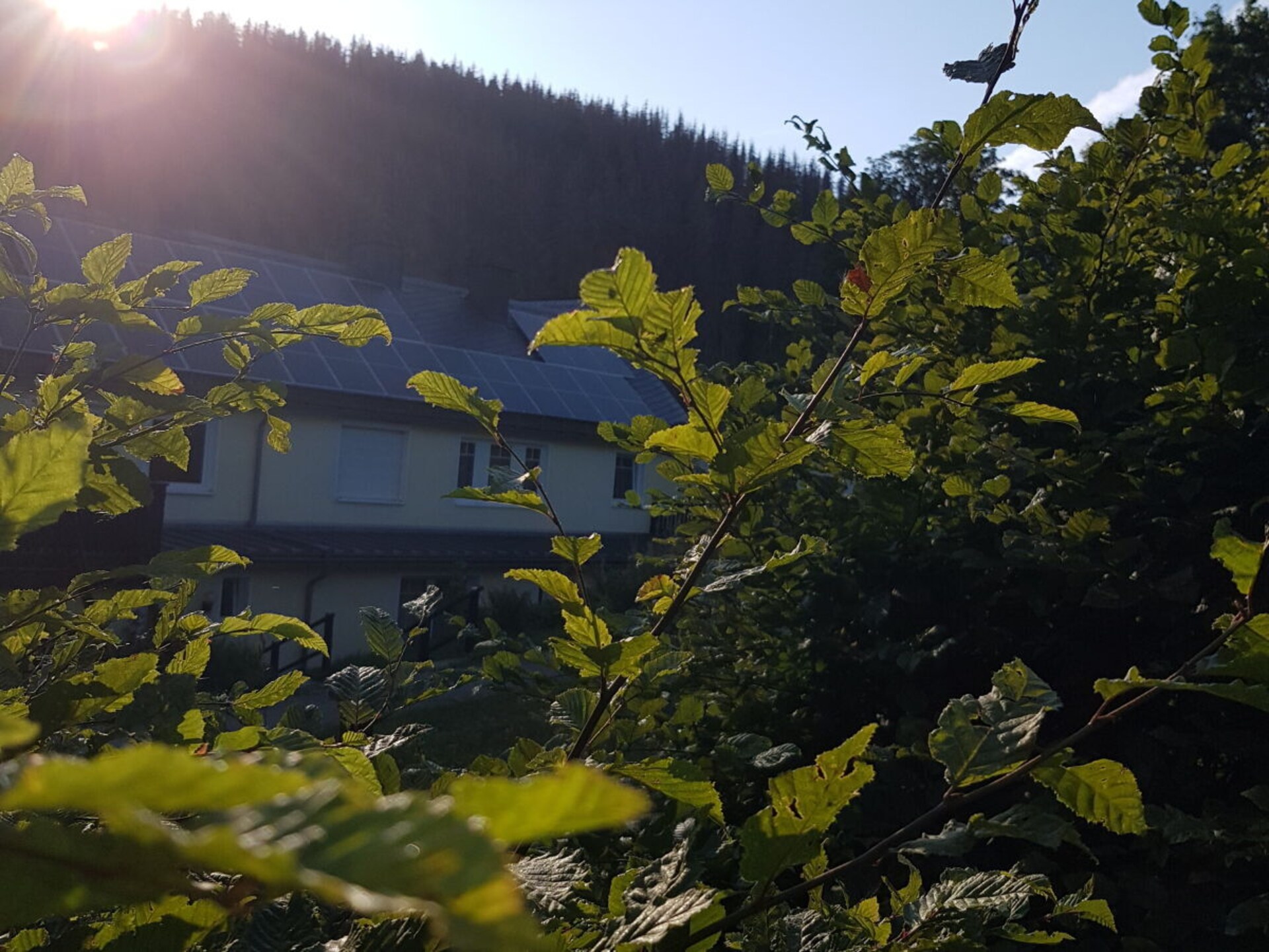 Gerenoveerd molenappartement voor 18 personen met sauna in Bad Berleburg - foto 2