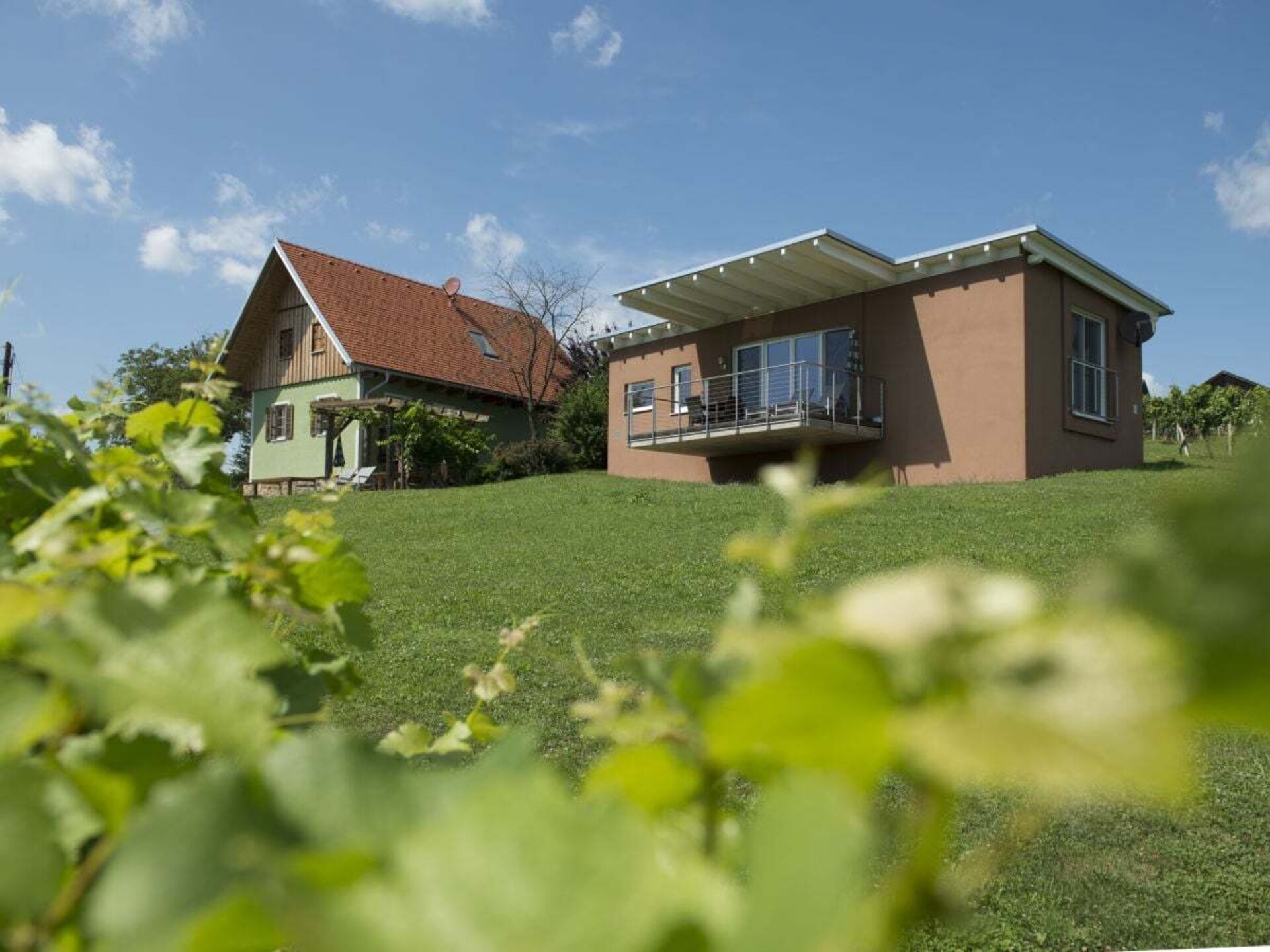Modern vakantiehuis met privésauna tussen de wijngaarden in Fehring - foto 3