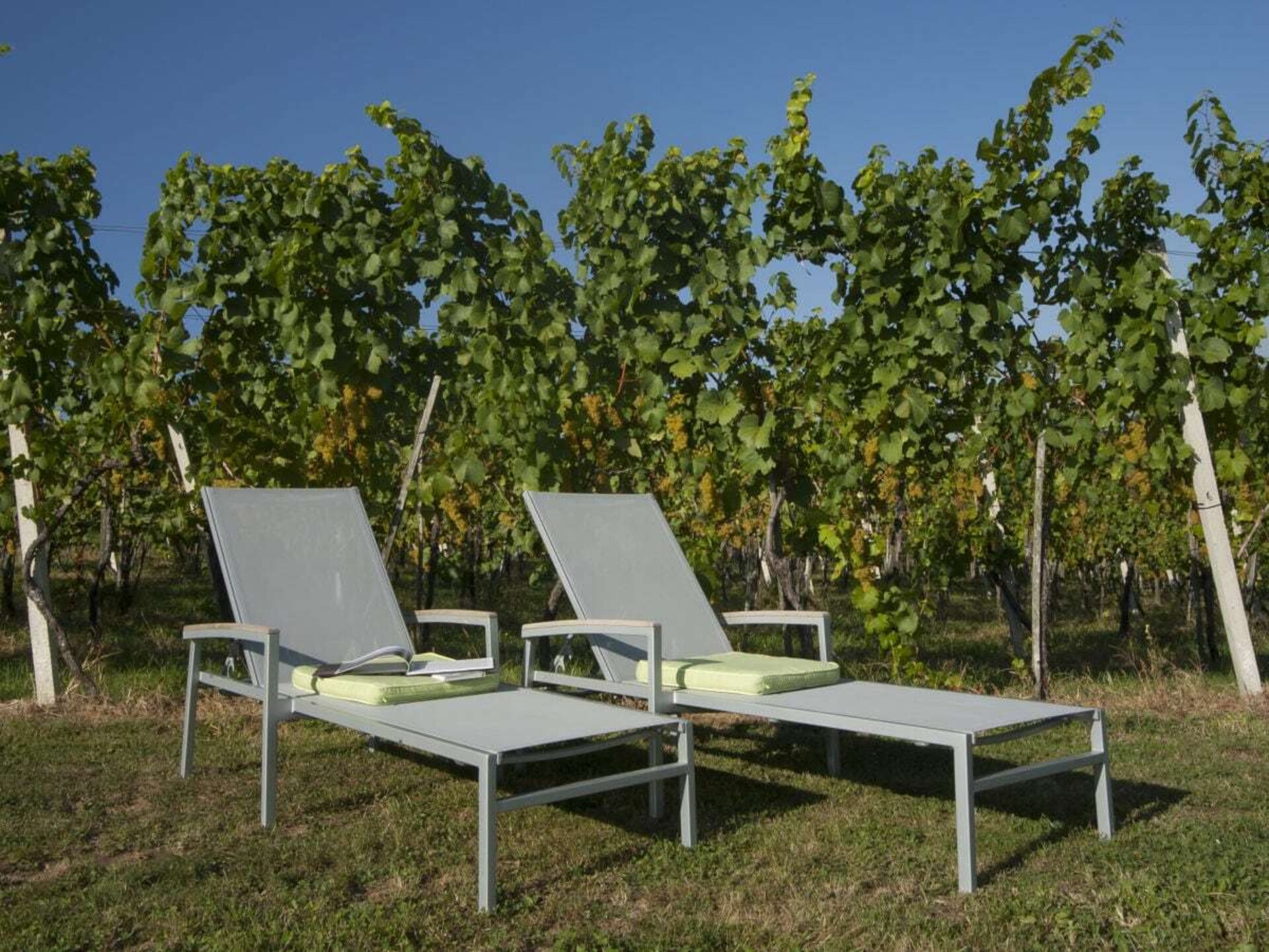 Modern vakantiehuis met privésauna tussen de wijngaarden in Fehring - foto 7