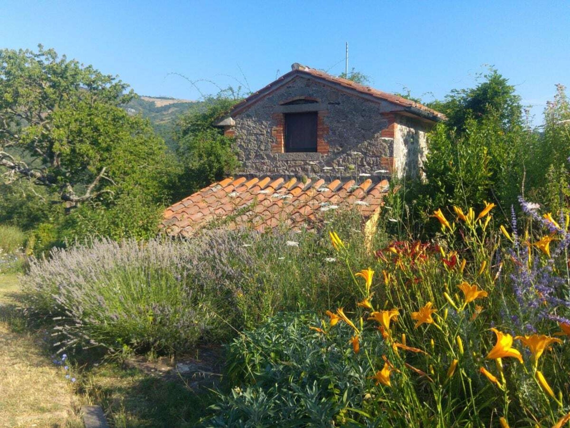 Stenen vakantiehuis uit 1920 in de Toscaanse natuur bij Santa Fiora - foto 3