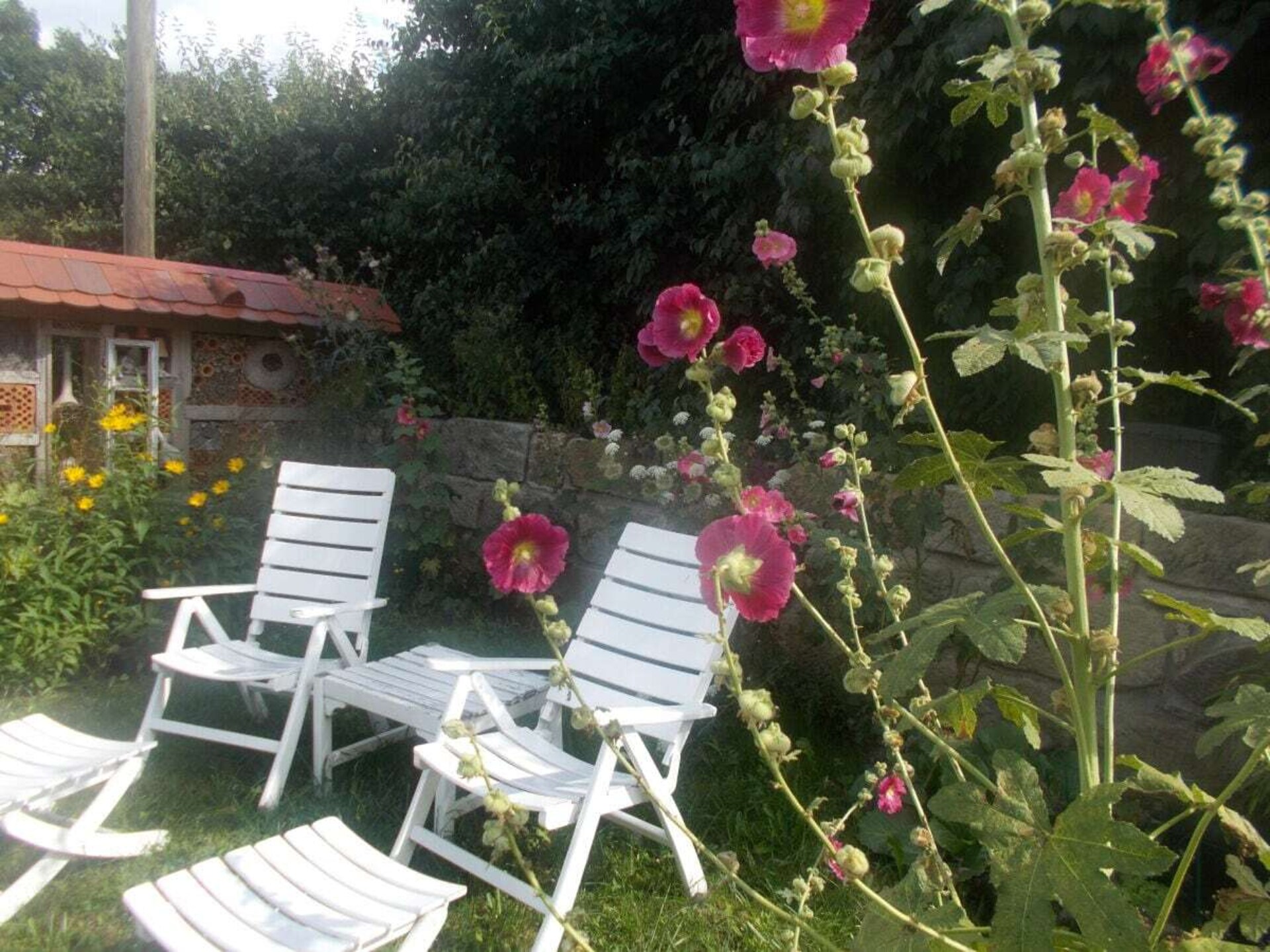 Knus vakantieappartement in Waltersdorf met tuin en boerderijproducten - foto 9