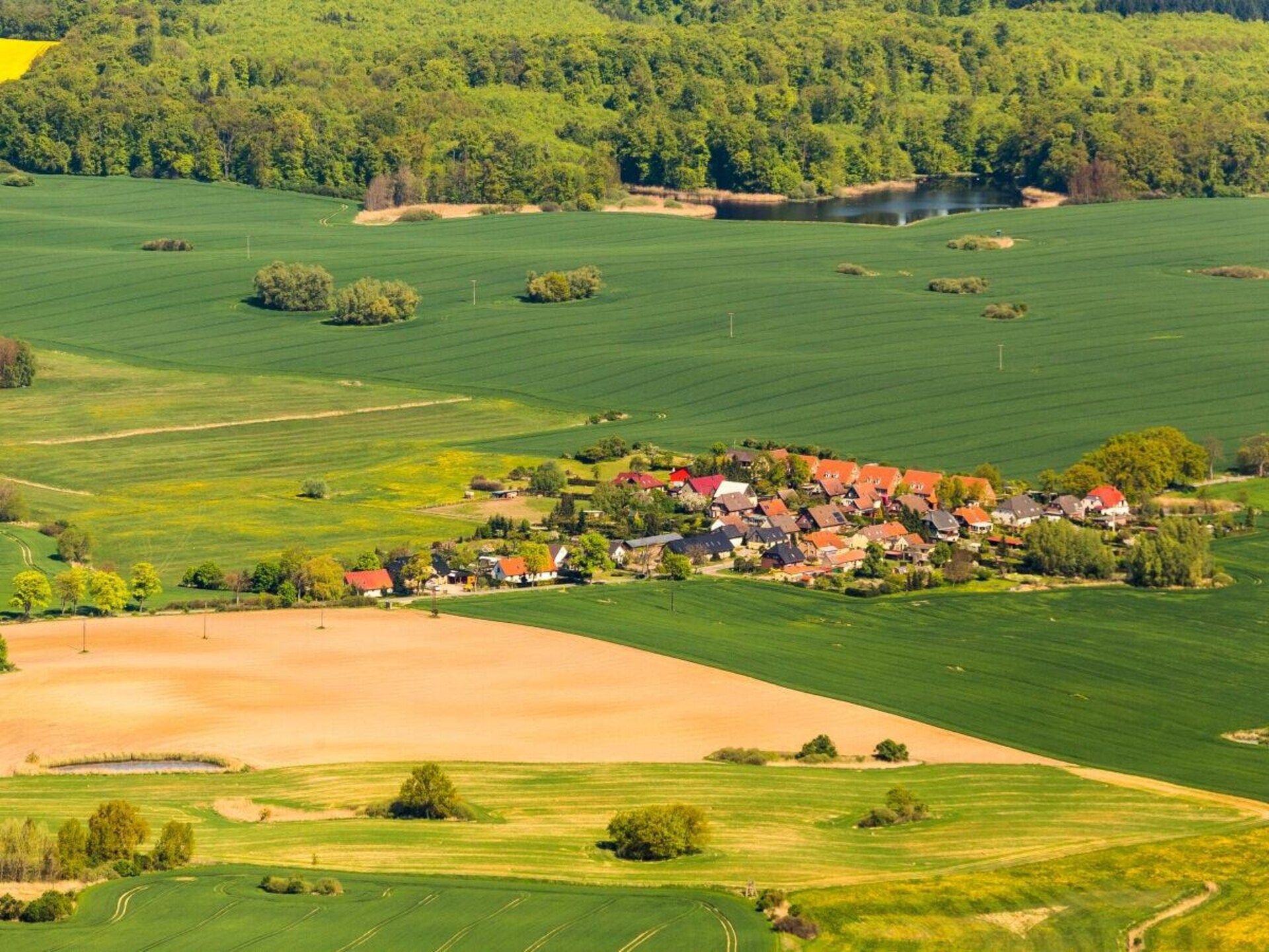 Knus vrijstaand vakantiehuis voor 2 personen bij de Müritz - foto 21