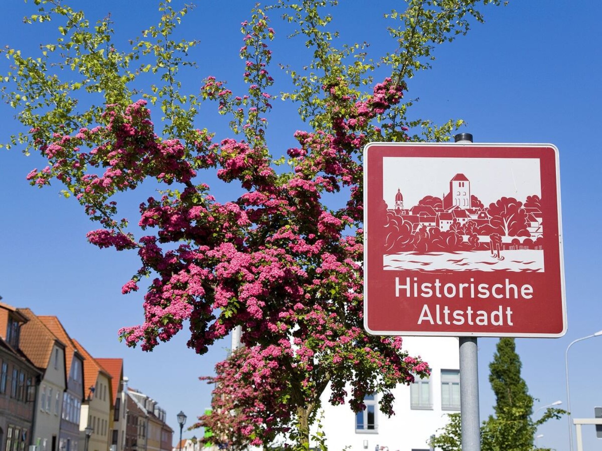Knus vrijstaand vakantiehuis voor 2 personen bij de Müritz - foto 28