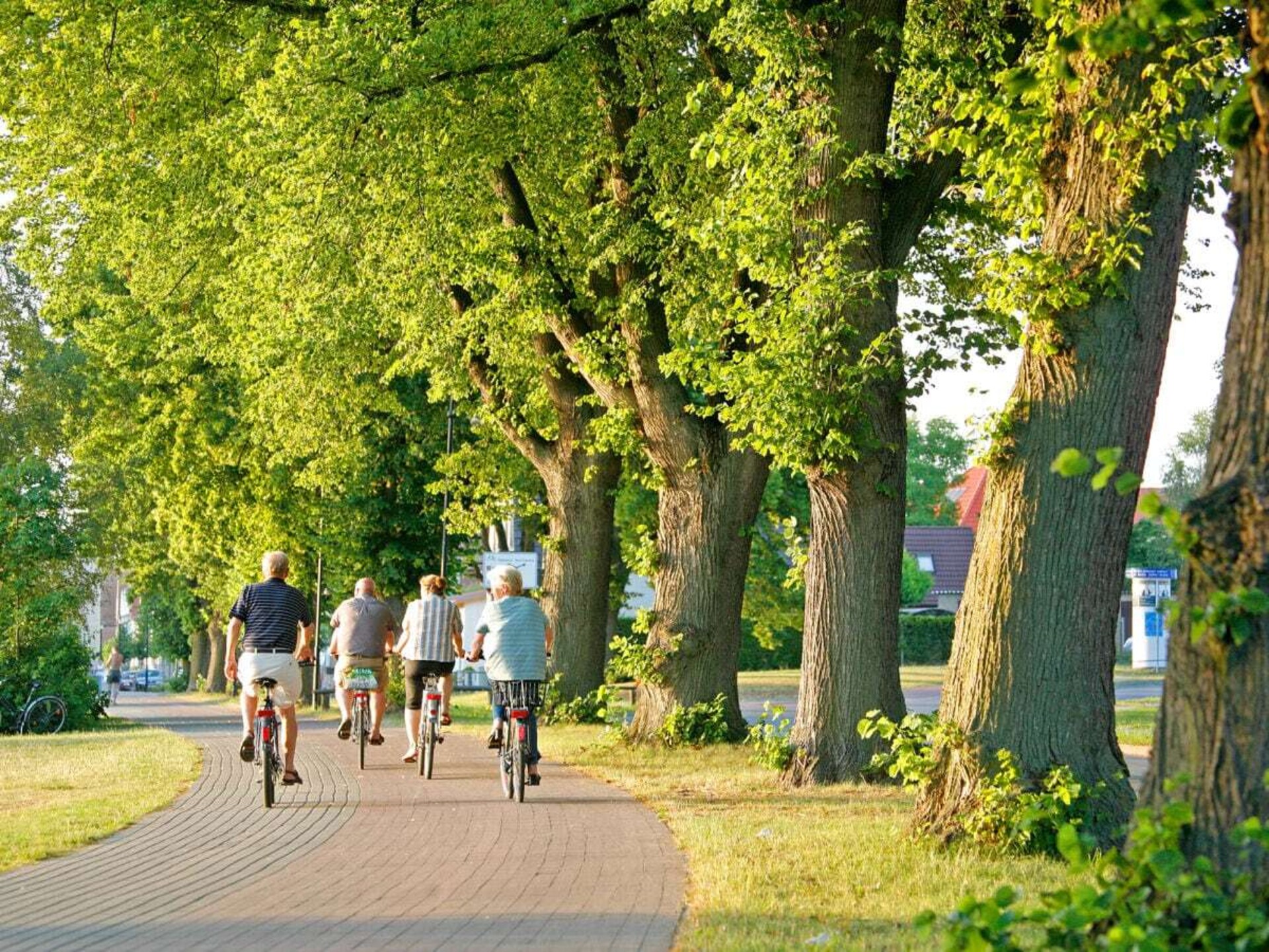 Knus vrijstaand vakantiehuis voor 2 personen bij de Müritz - foto 39