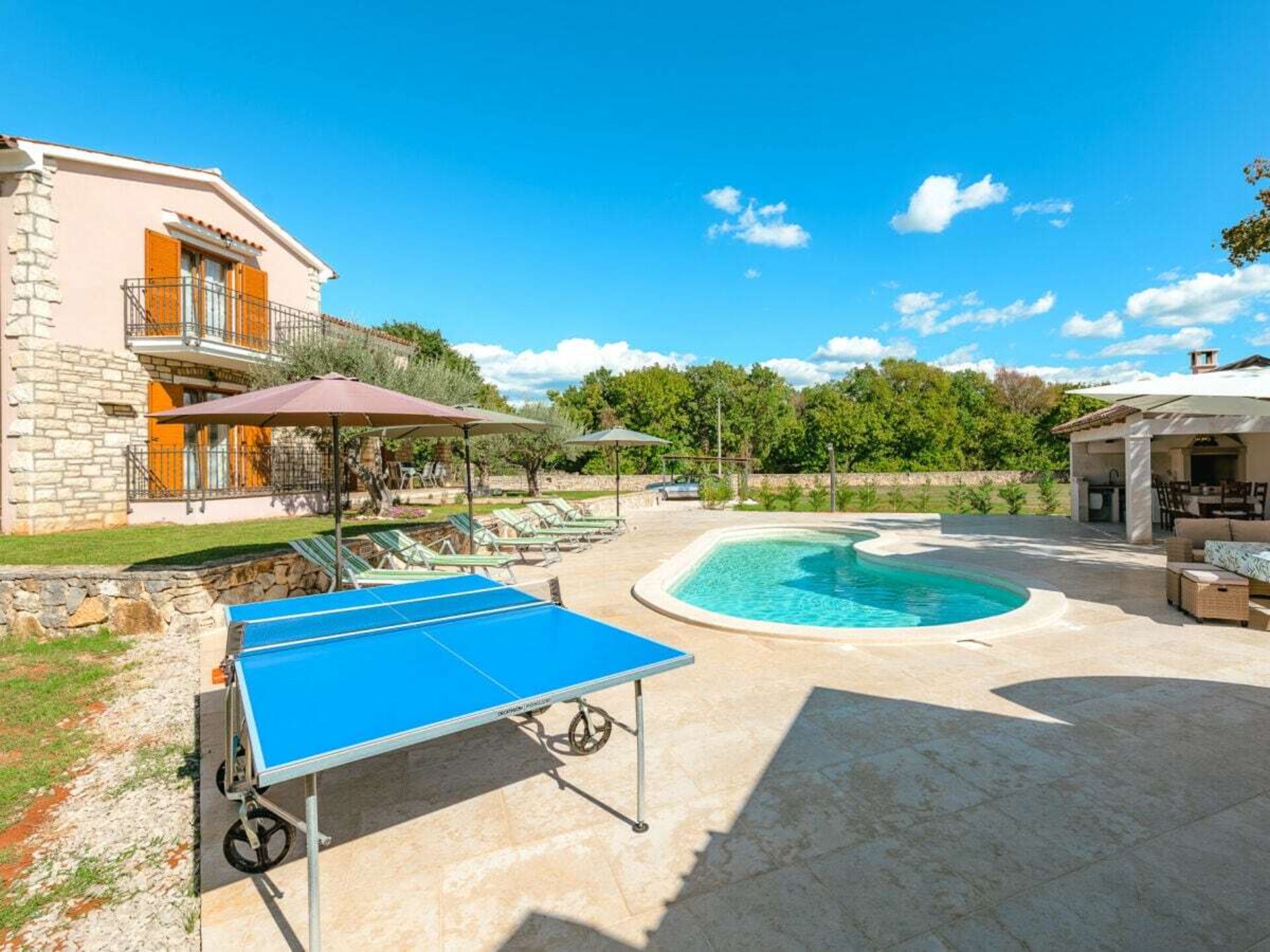 Authentieke Istrische villa met privézwembad en grote tuin bij Tinjan - foto 36