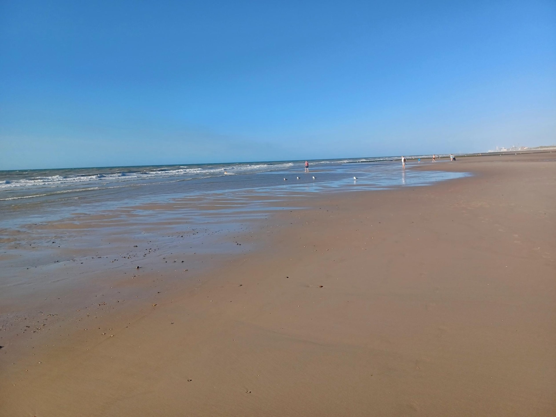 4-persoons studio met zeezicht en balkon in Middelkerke - foto 19