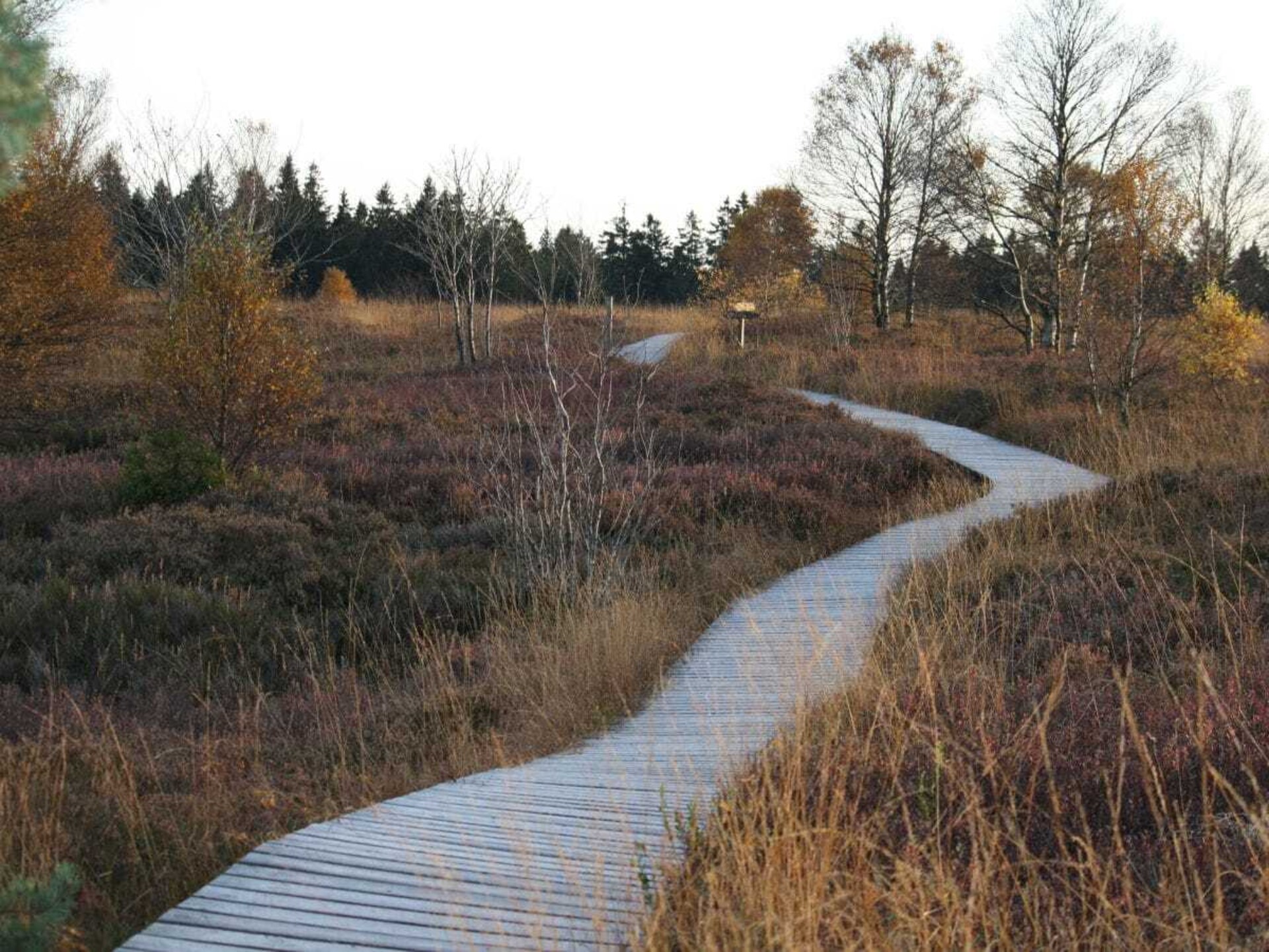 Scandinavisch vakantiehuis bij Monschau met ruime tuin op 50m van de Hoge Venen - foto 17