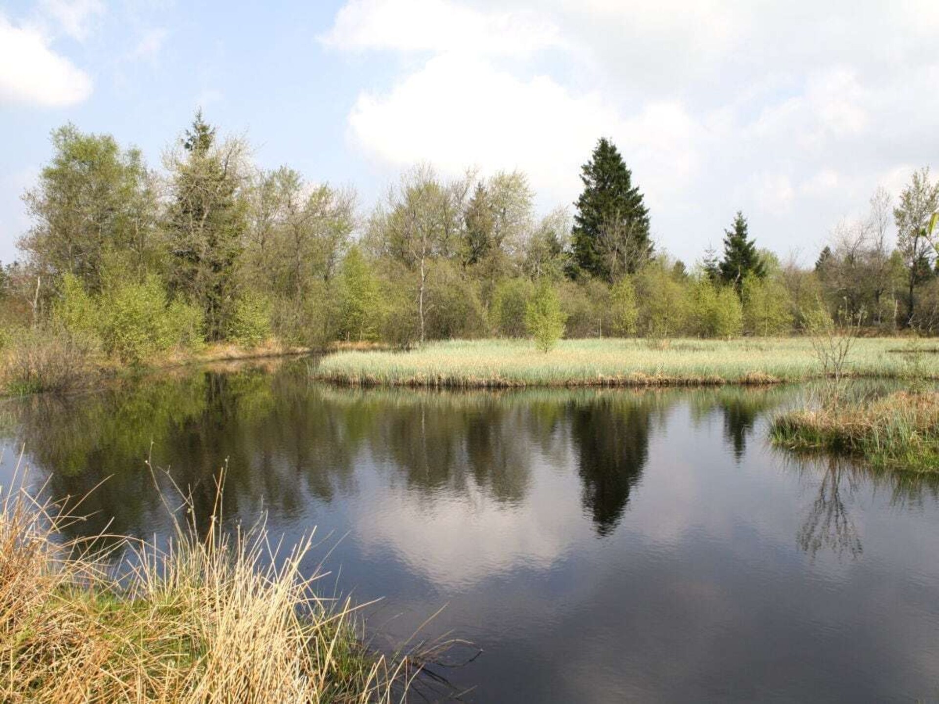 Scandinavisch vakantiehuis bij Monschau met ruime tuin op 50m van de Hoge Venen - foto 19