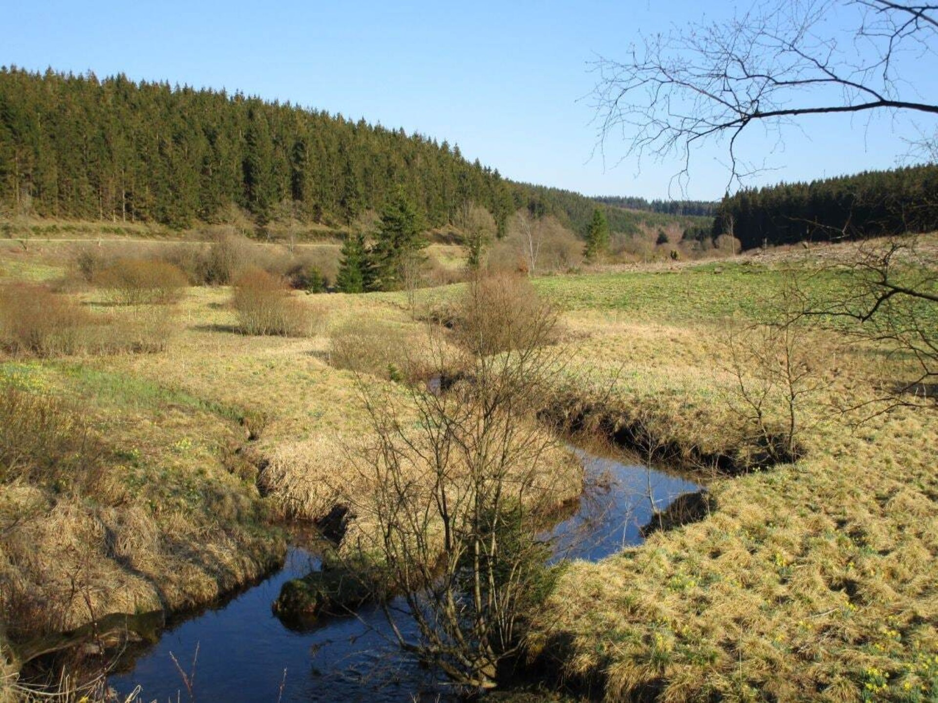 Scandinavisch vakantiehuis bij Monschau met ruime tuin op 50m van de Hoge Venen - foto 21