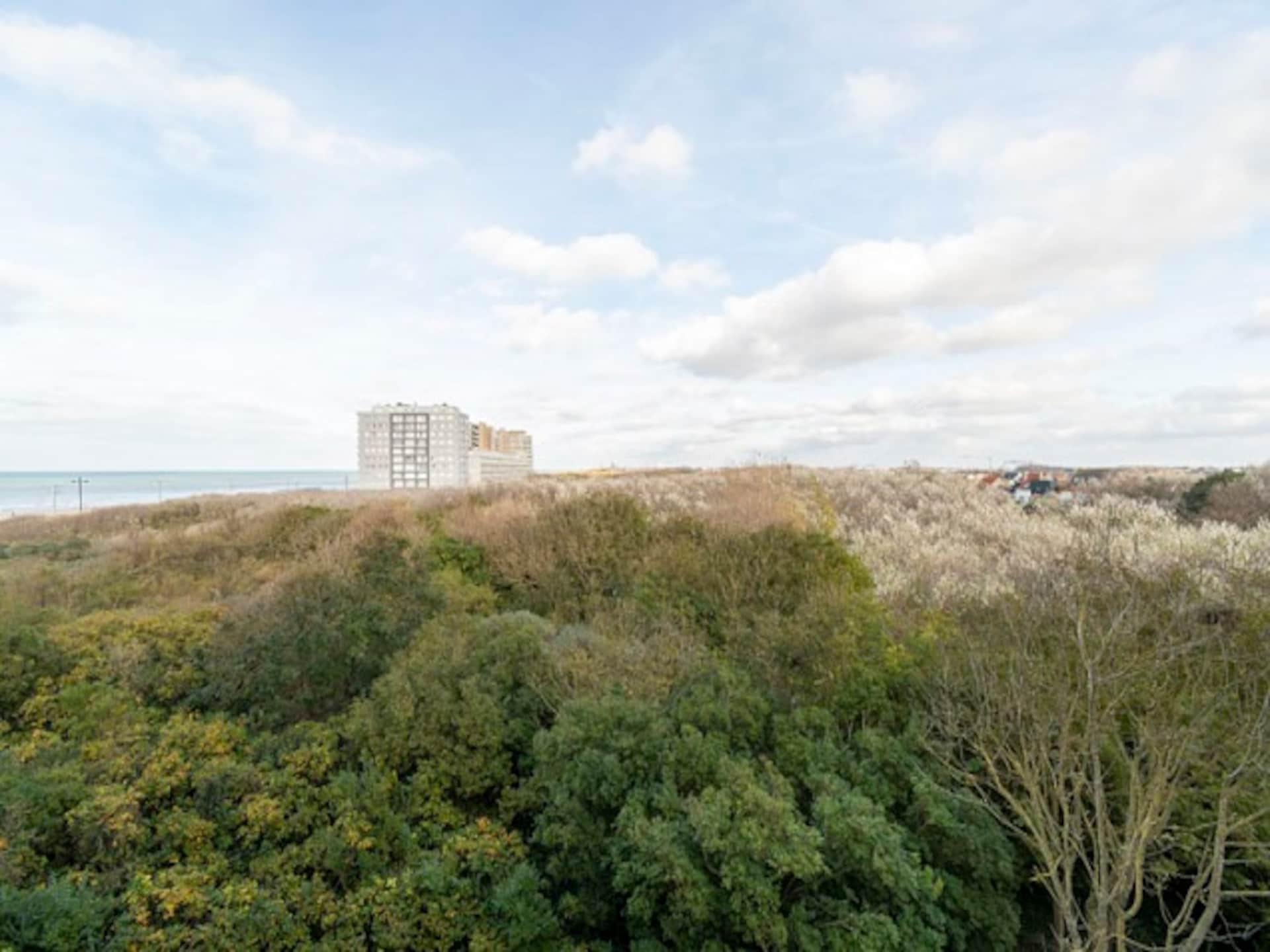 Licht appartement in Middelkerke met uitzicht op zee en duinen - foto 6