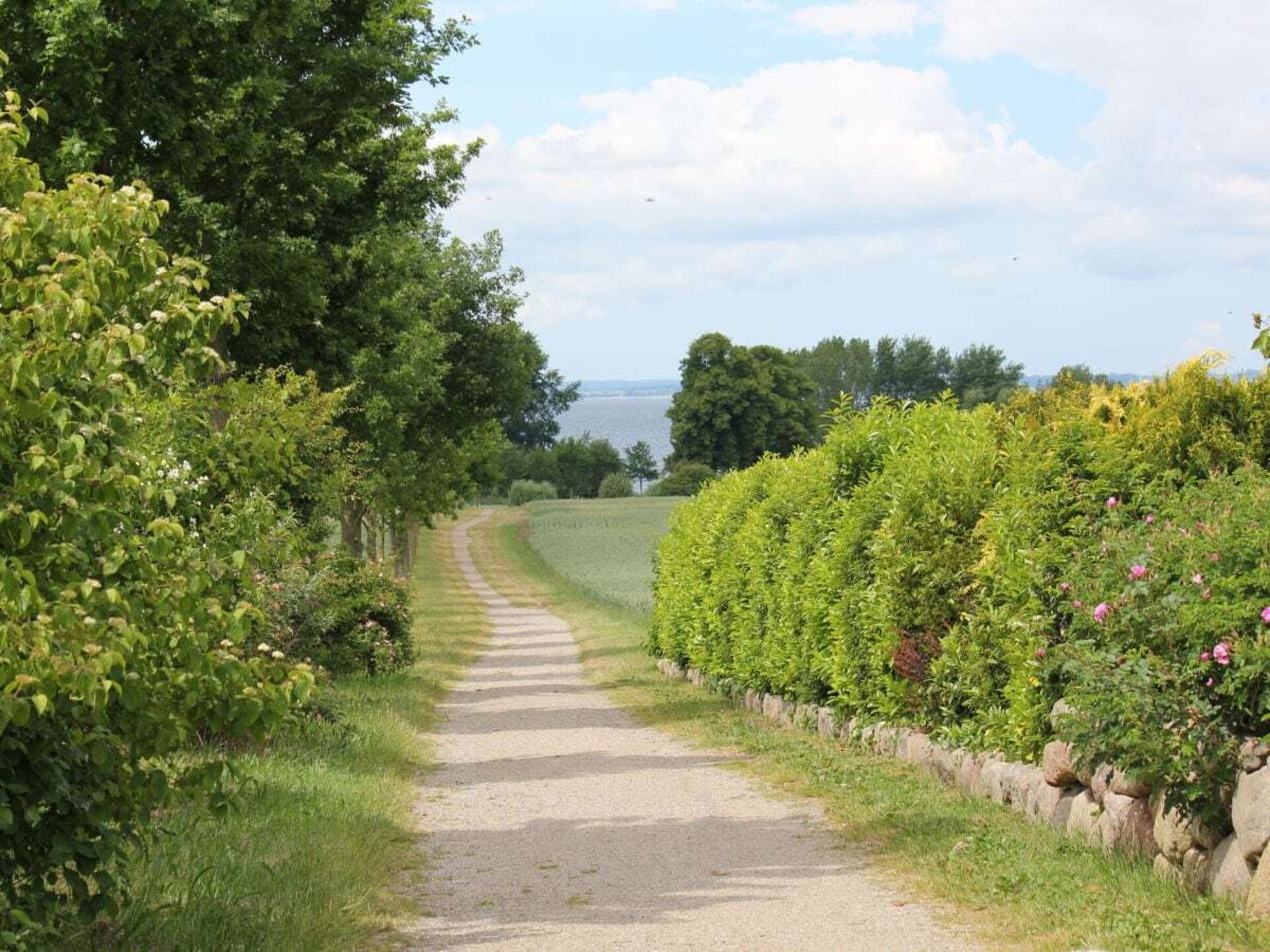 Groots groepsverblijf in Groß Schwansee met sauna en speeltuin - foto 45