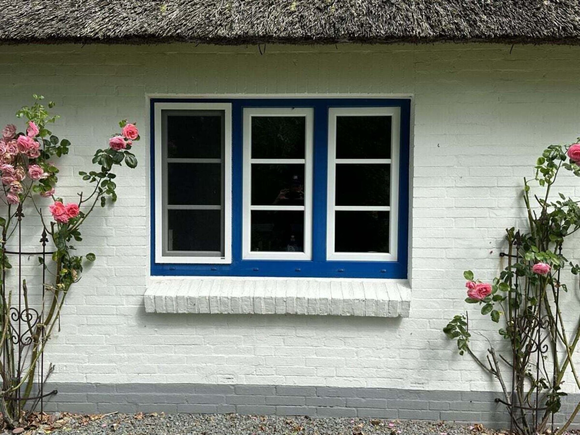 Deichgut: Luxe rietgedekt vakantiehuis voor 8 personen bij de Noordzee - foto 4