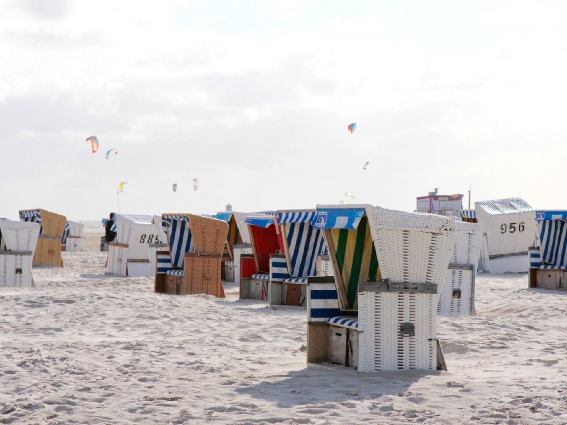 Deichgut: Luxe rietgedekt vakantiehuis voor 8 personen bij de Noordzee - foto 26
