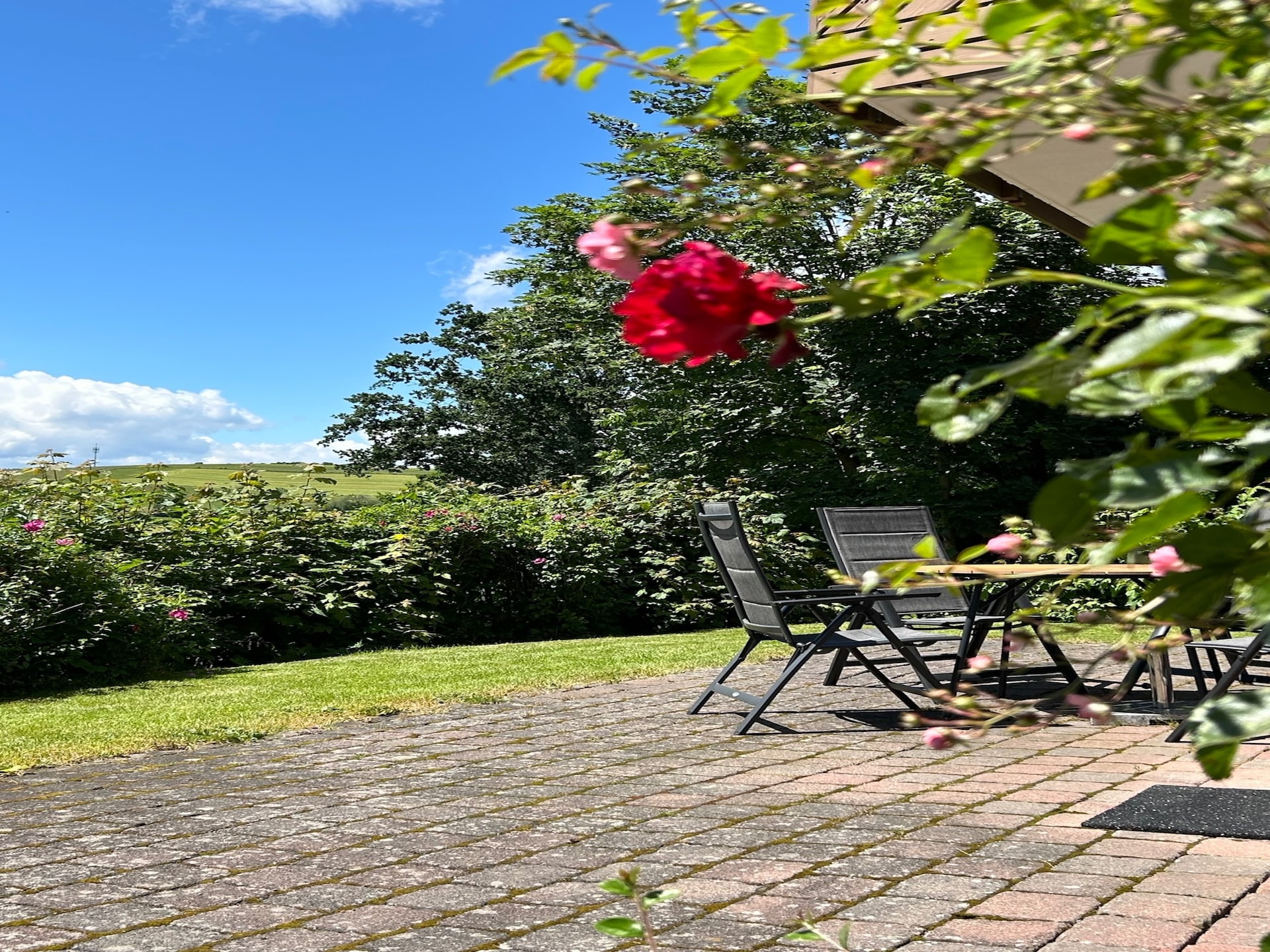 Licht vakantiehuis Burgblick in Neuenstein-Mühlbach - foto 14