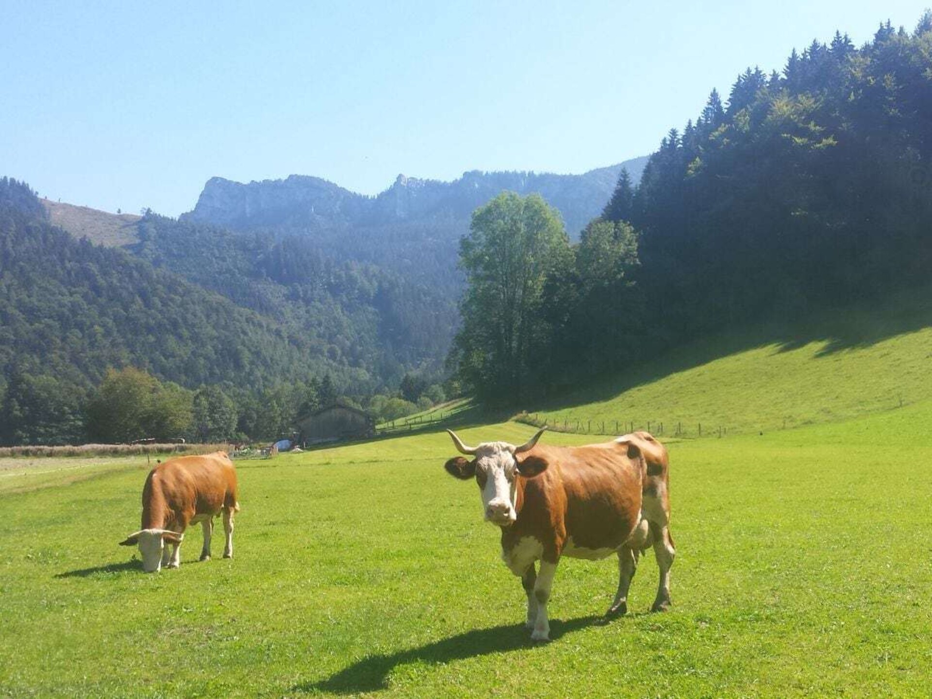 Knus vakantiehuis voor 3 in Aschau, 8 km van de skilift - foto 3