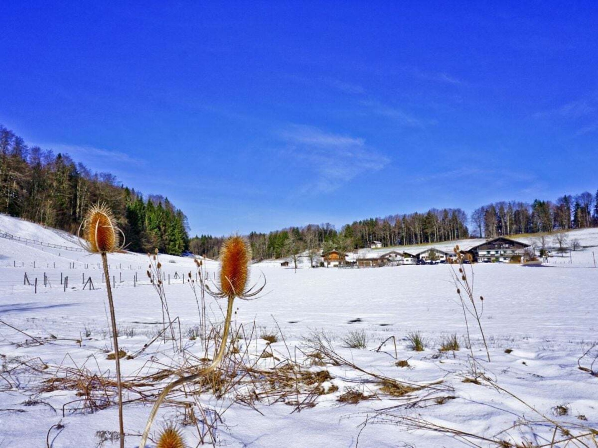Knus vakantiehuis voor 3 in Aschau, 8 km van de skilift - foto 13