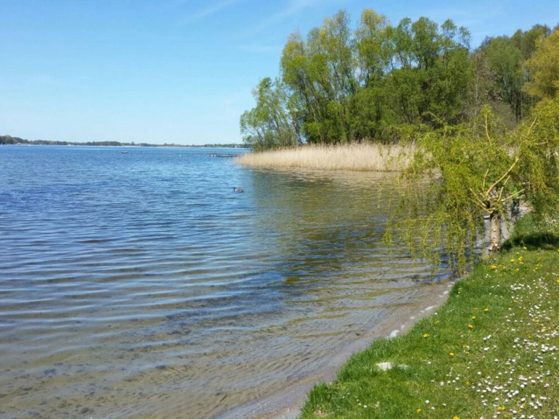 Romantisch appartement aan de Plauer See met balkon en open haard - foto 17